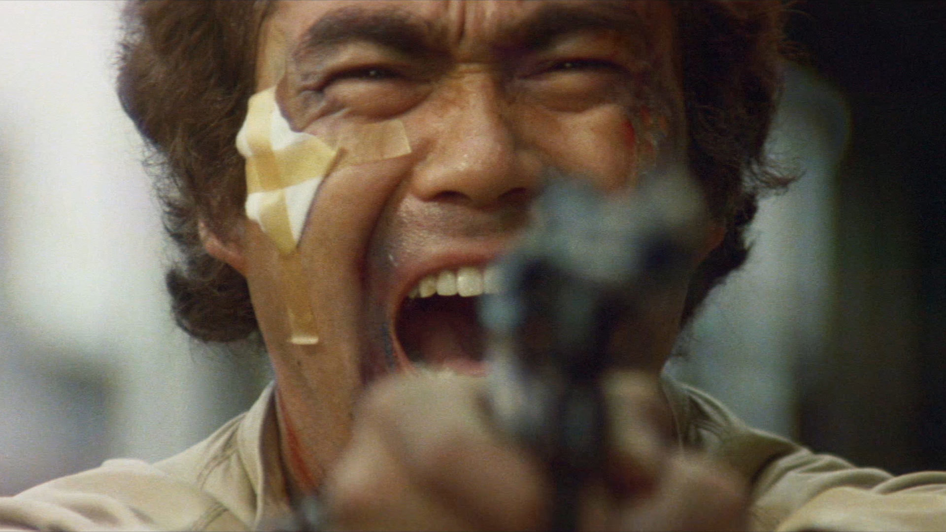 Doberman Cop Background