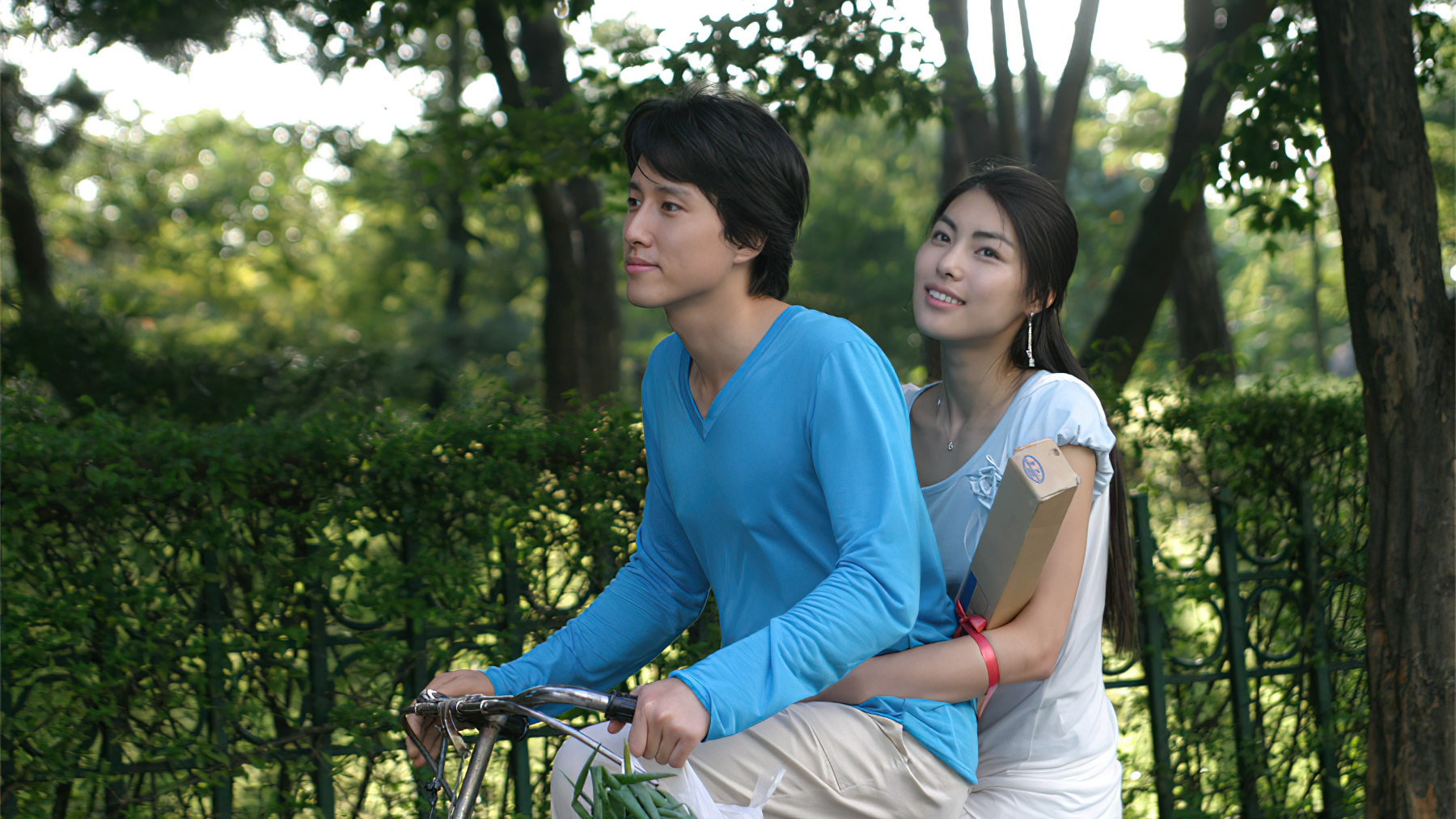 The Elephant on the Bike Background