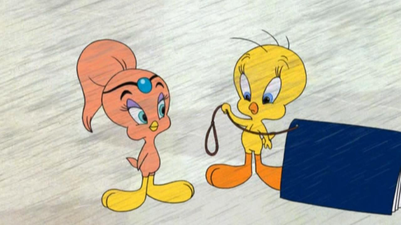 Tweety's High Flying Adventure Background