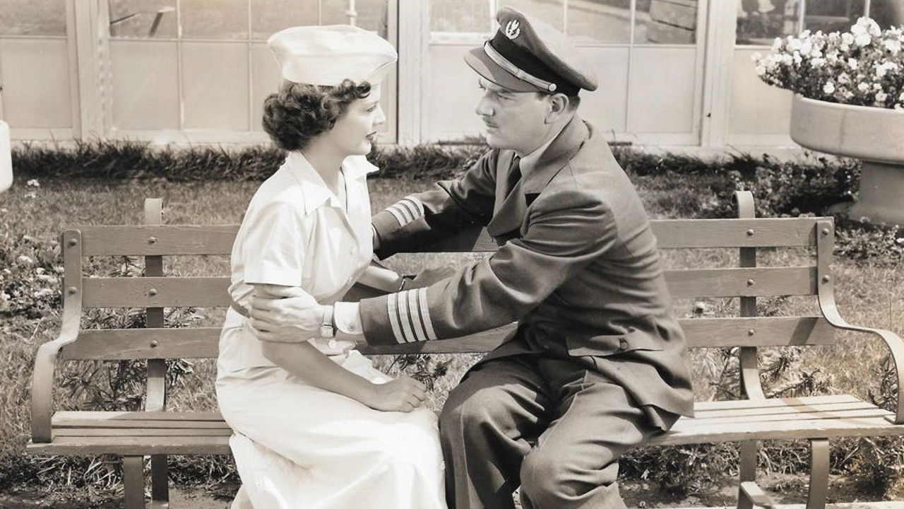 Air Hostess Background