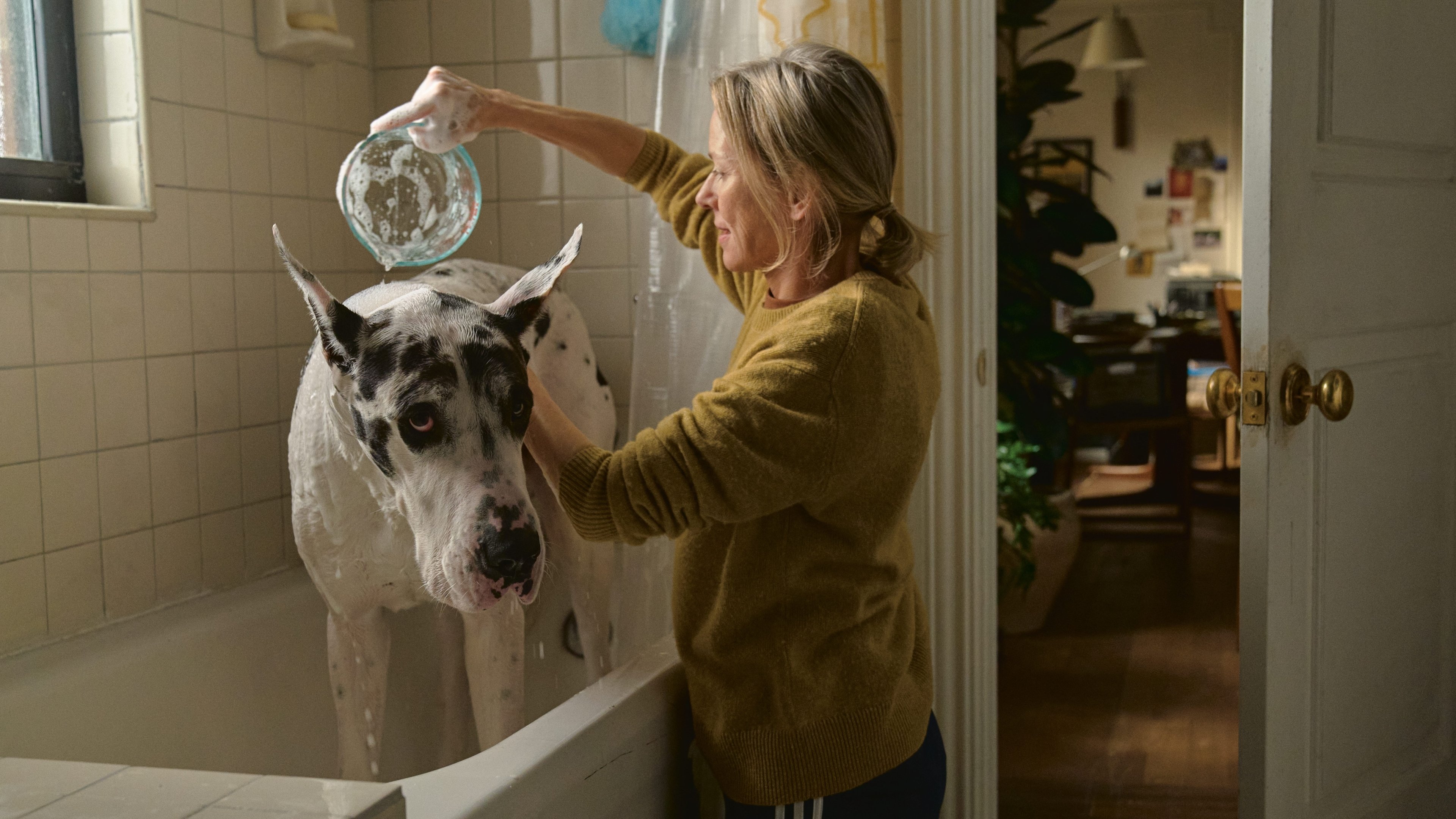 The Friend Background