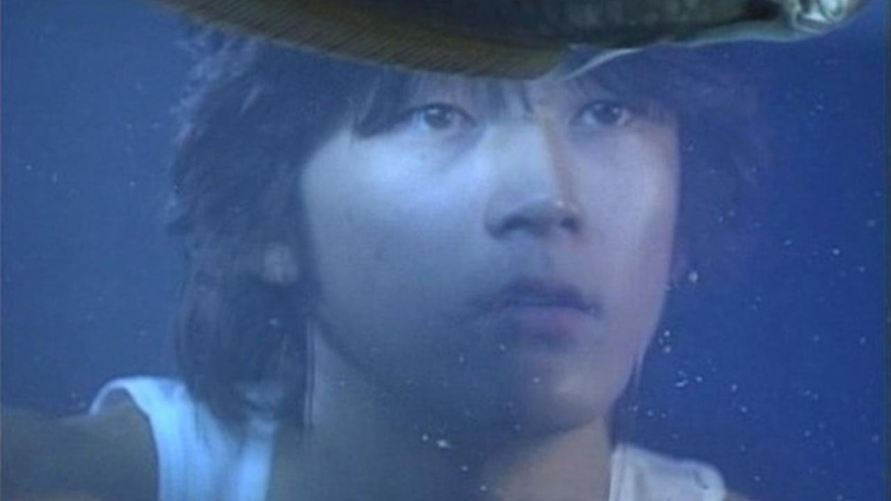 Fried Dragon Fish Background