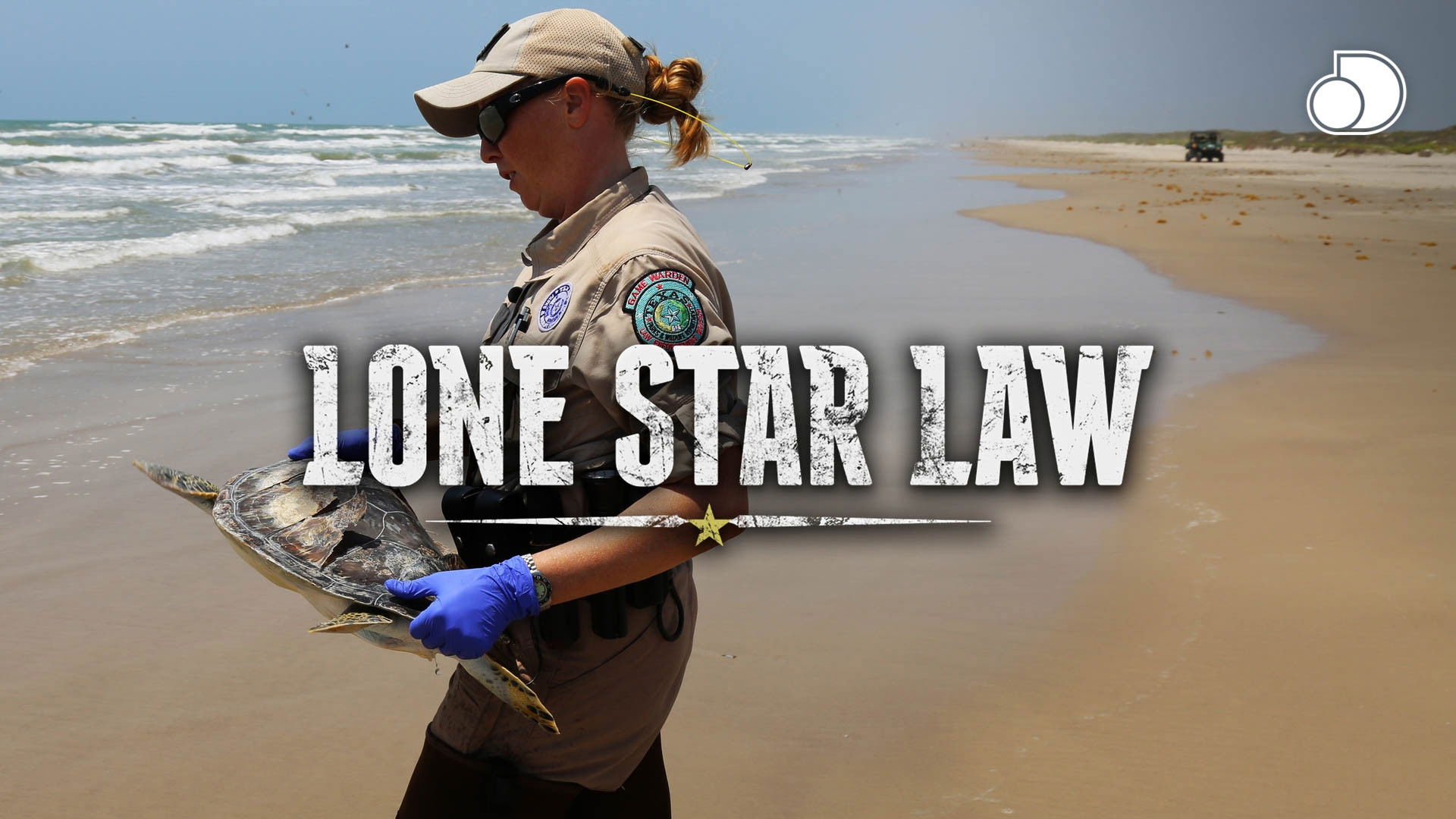 Lone Star Law Background