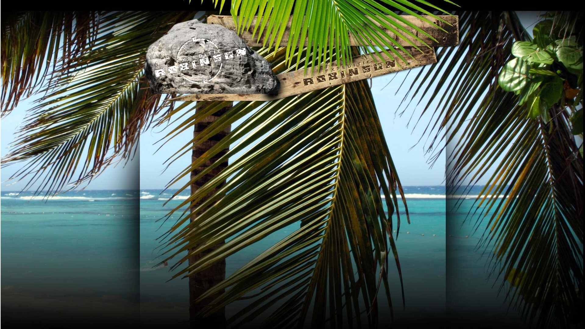 Expeditie Robinson Background