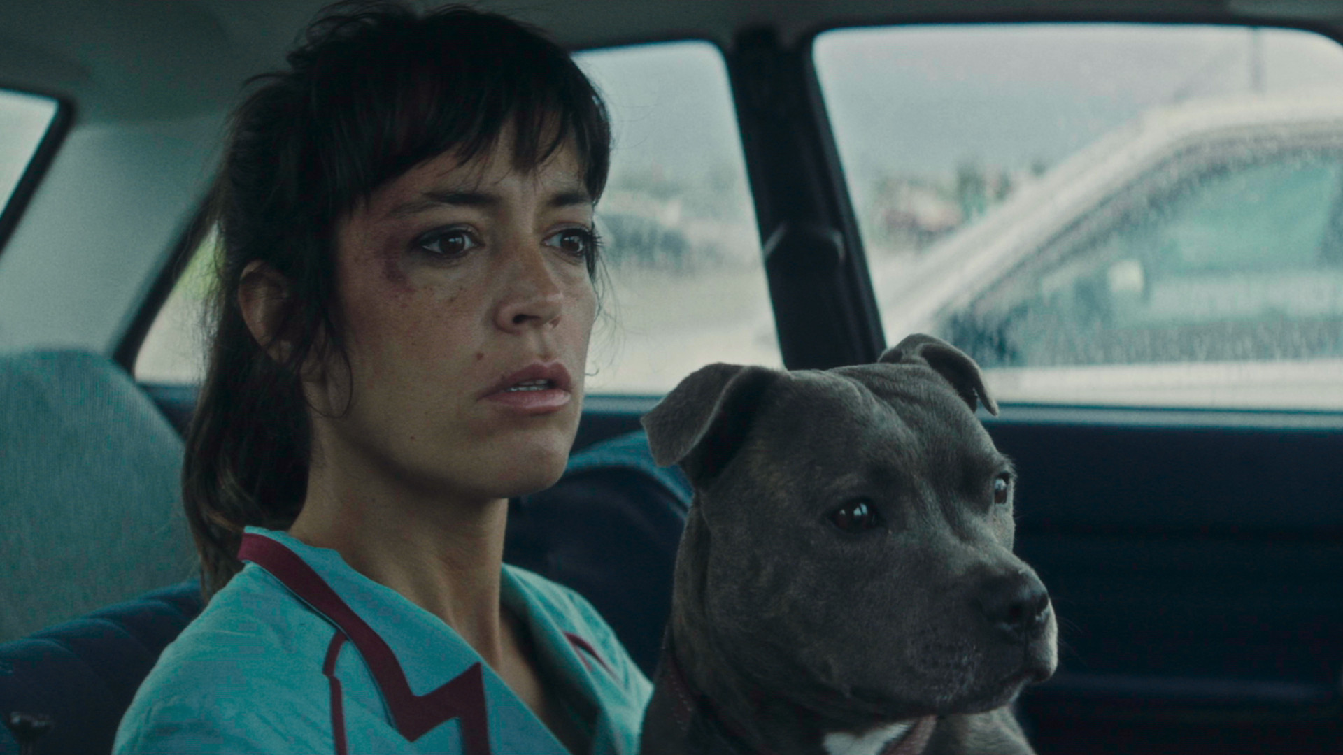 Vincent Must Die Background