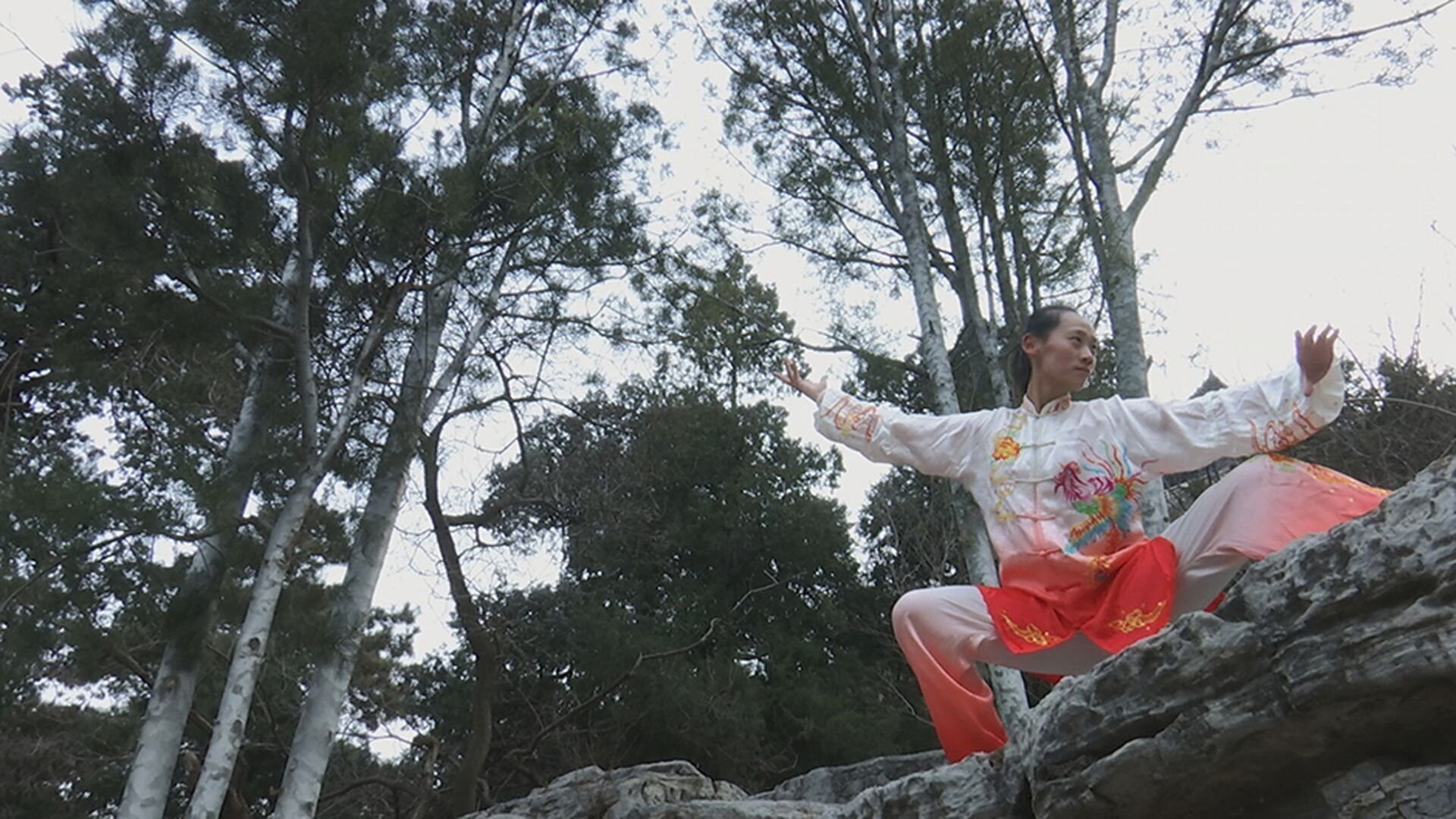 Kung fu Révolution(s) Background