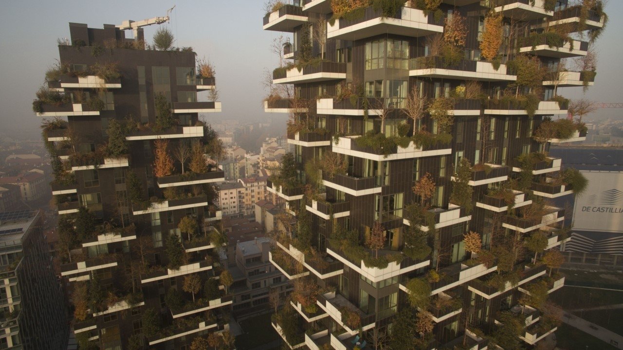 Metamorphosis Background