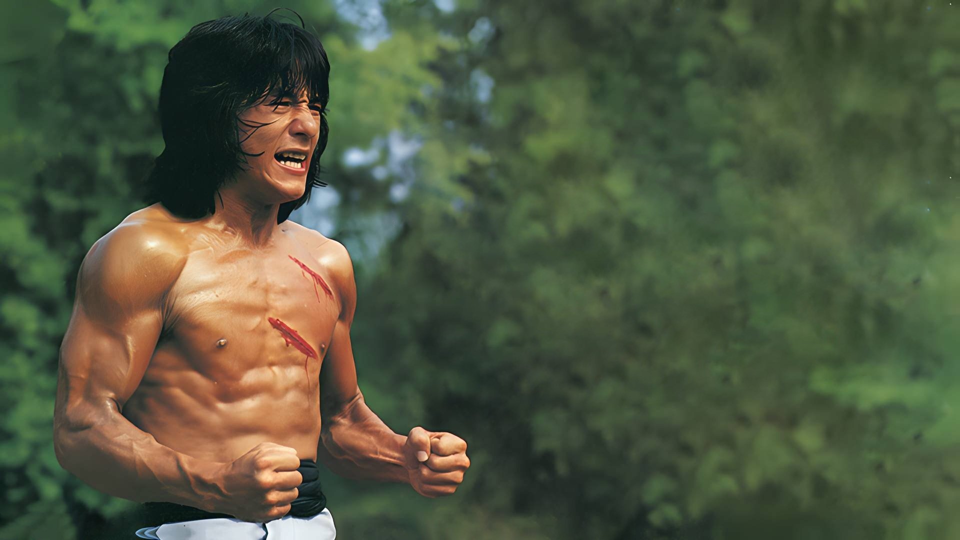 Fearless Hyena 2 Background