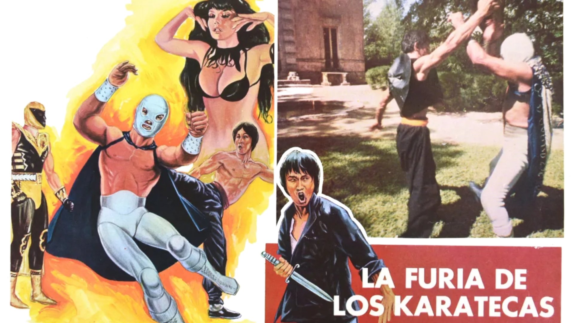 La furia de los karatecas Background