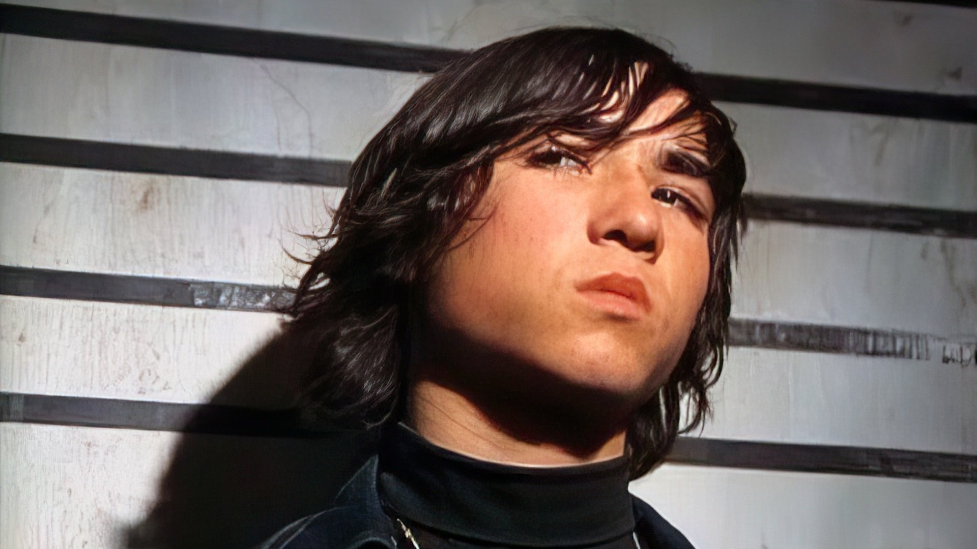 Perros callejeros Background