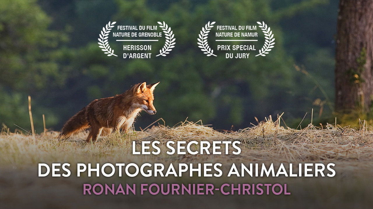 Les secrets des photographes animaliers Background