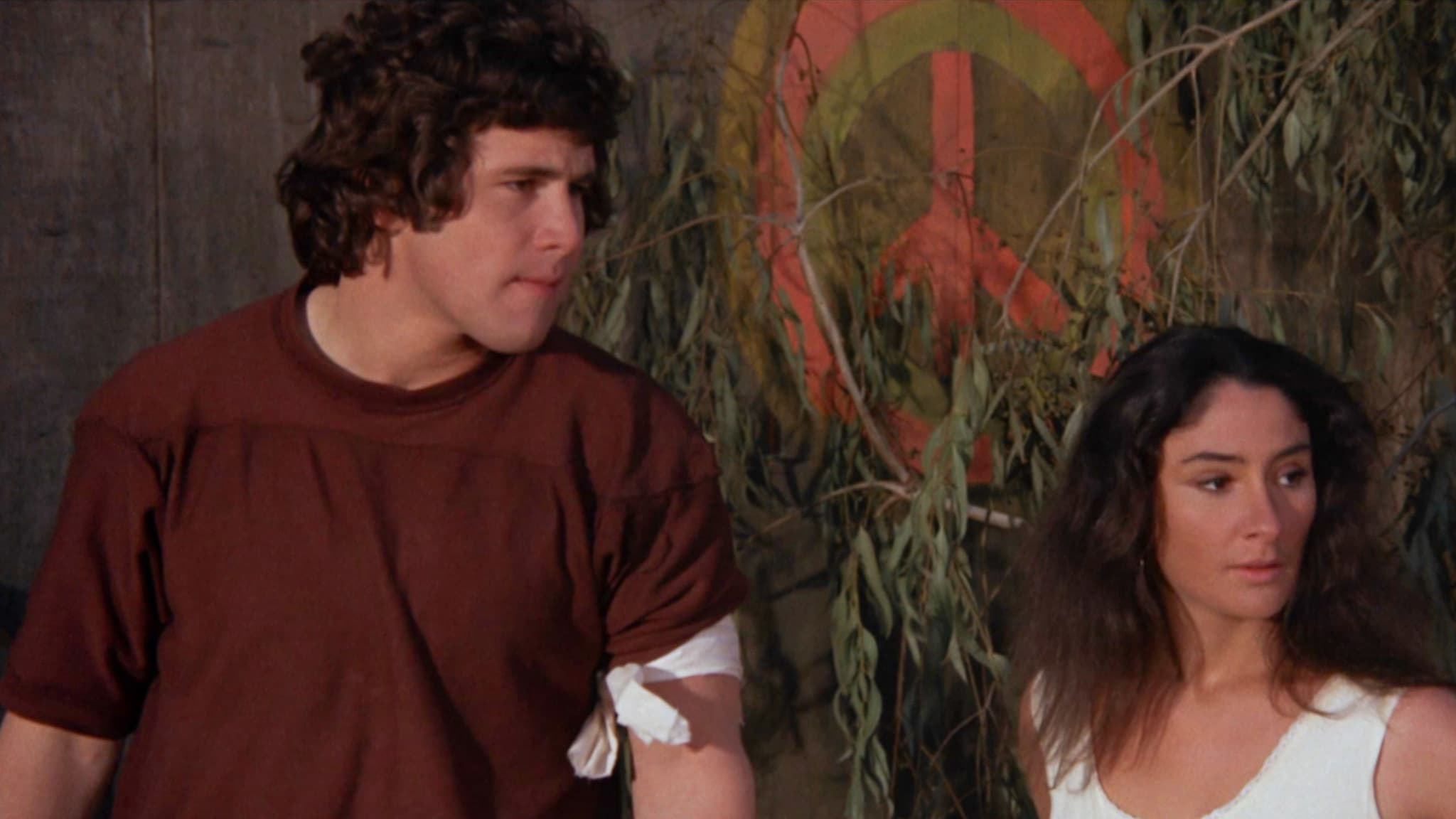 The Peace Killers Background