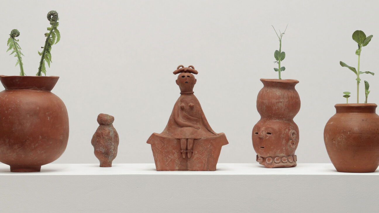 Still Lives Background