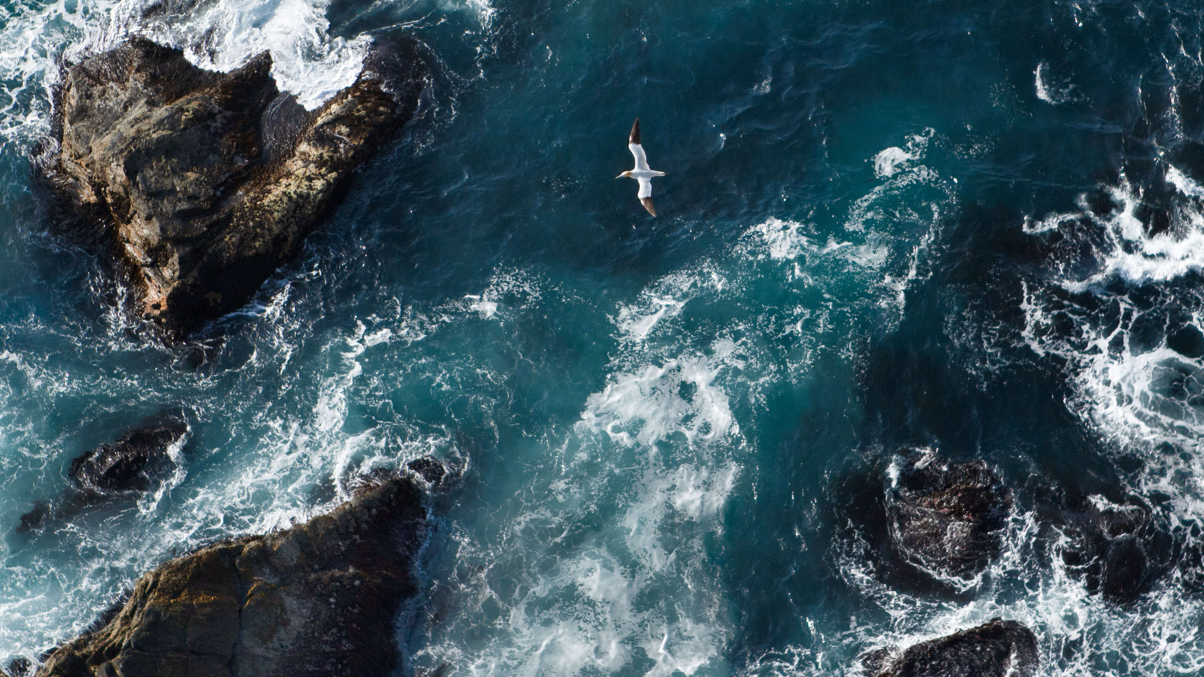 Unsere Meere: Die Nordsee. Die Ostsee Background