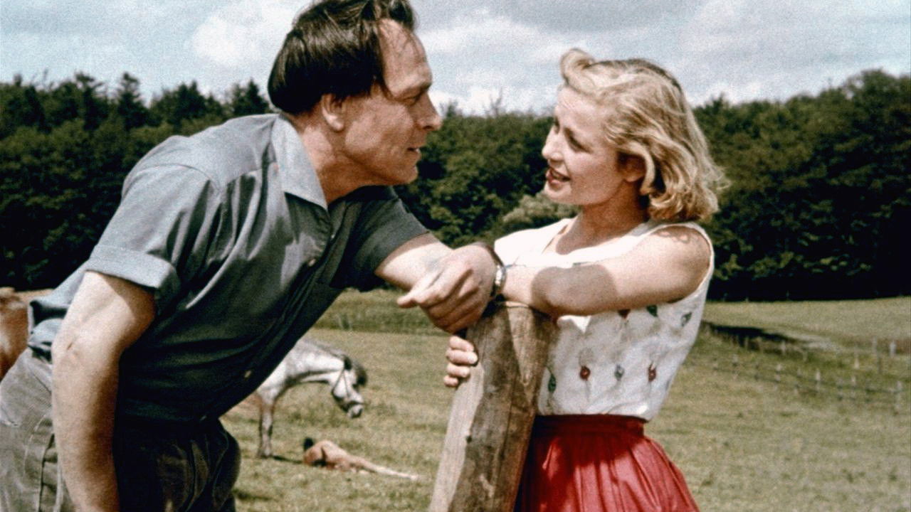 Hochzeit auf Immenhof Background