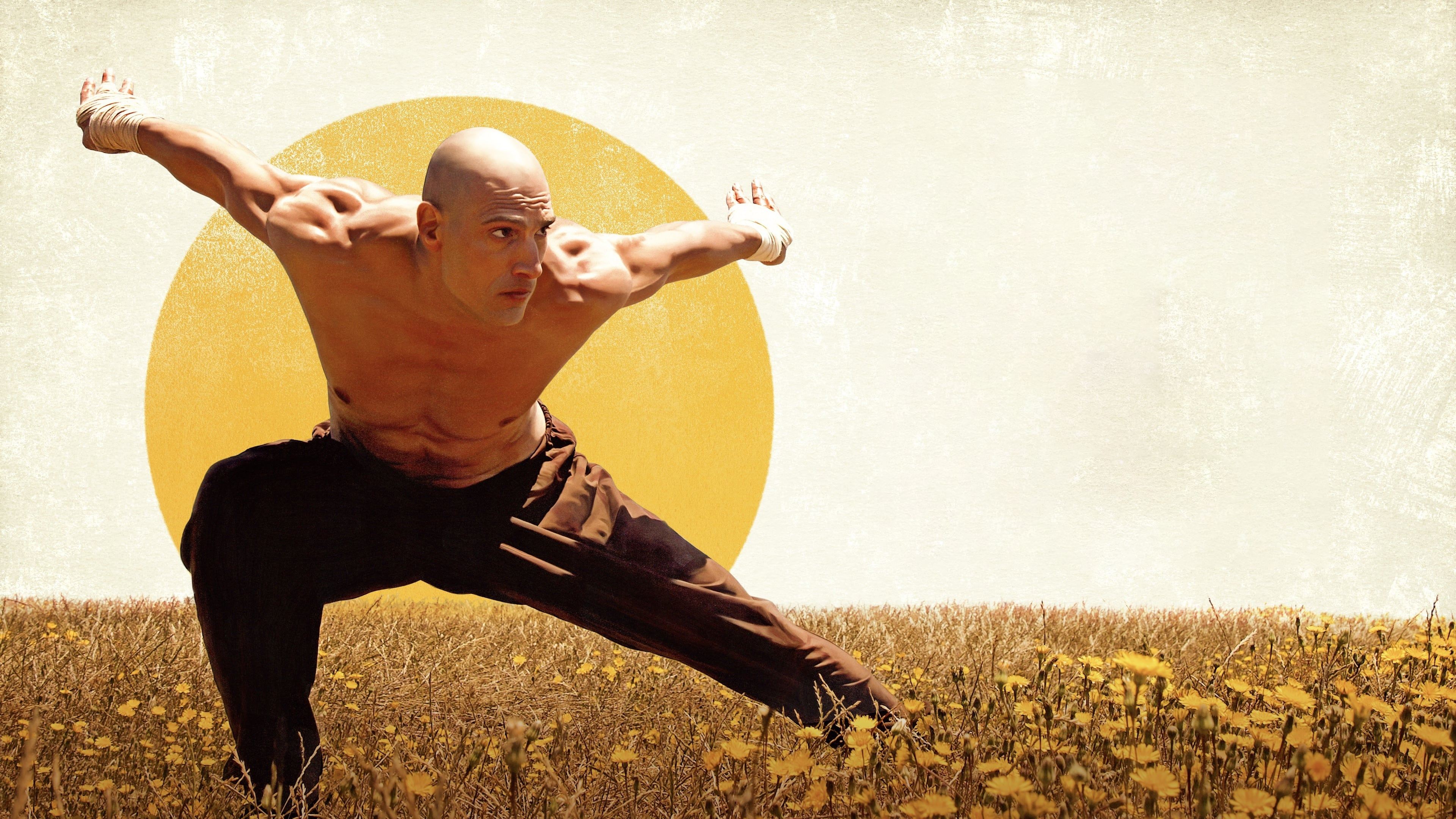 El puño del cóndor Background