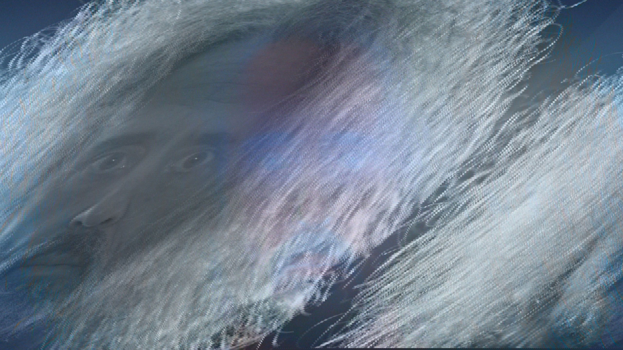 André Is an Idiot Background