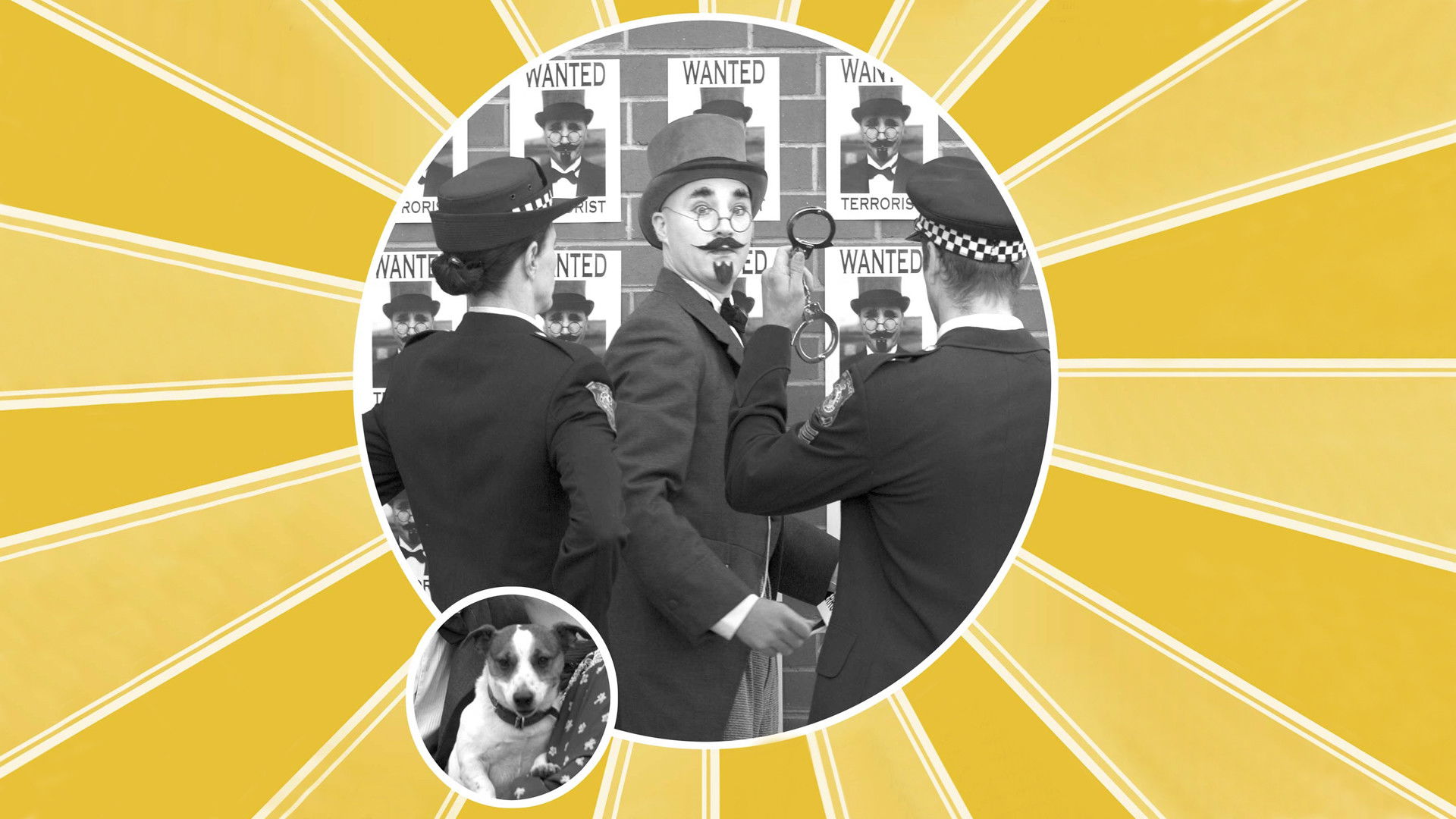 Dr. Plonk Background