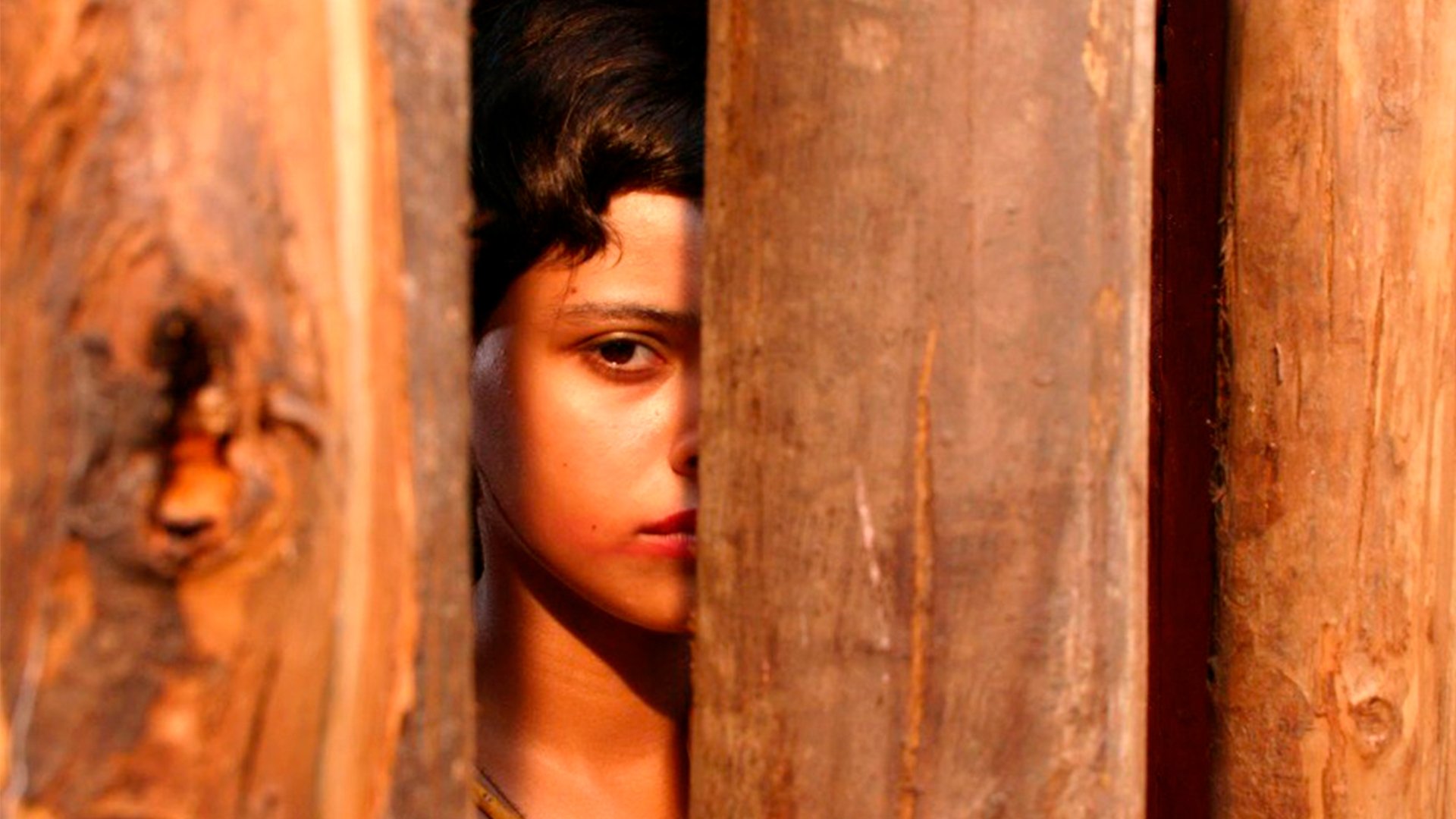 Angels of the Sun Background