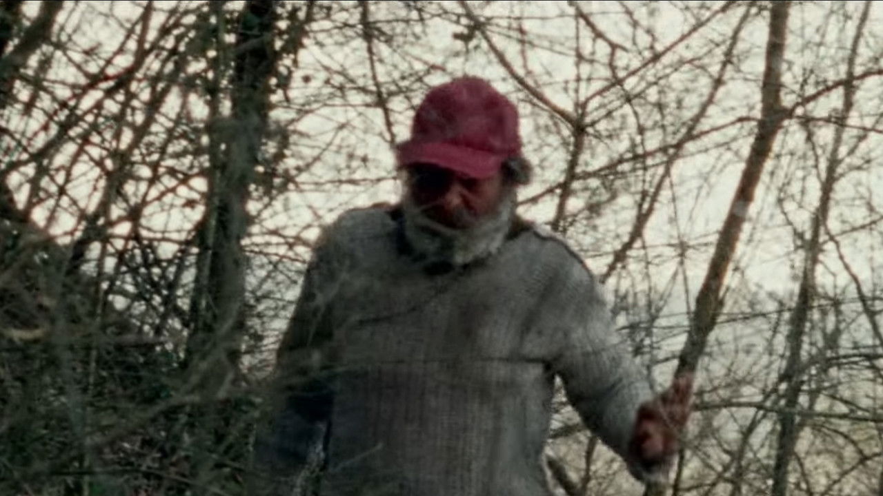 Il solengo Background