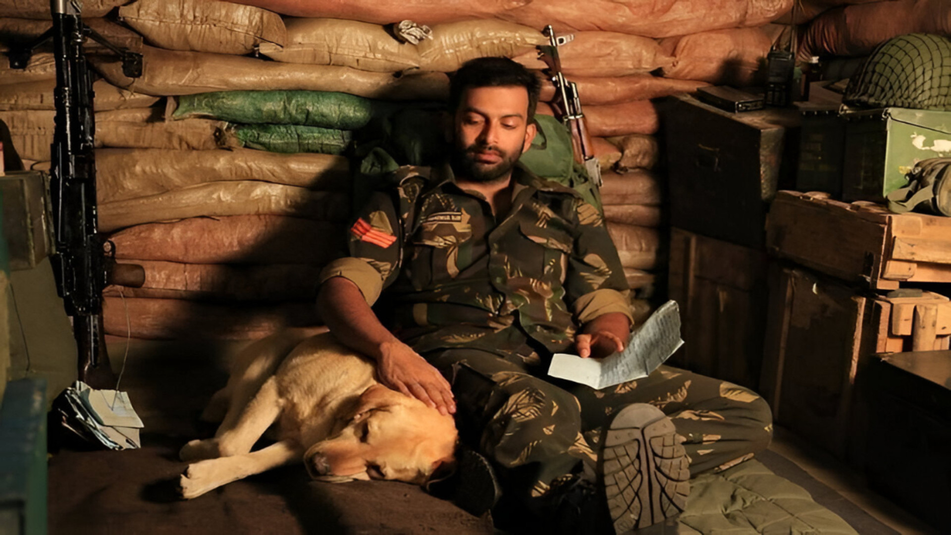 Picket 43 Background