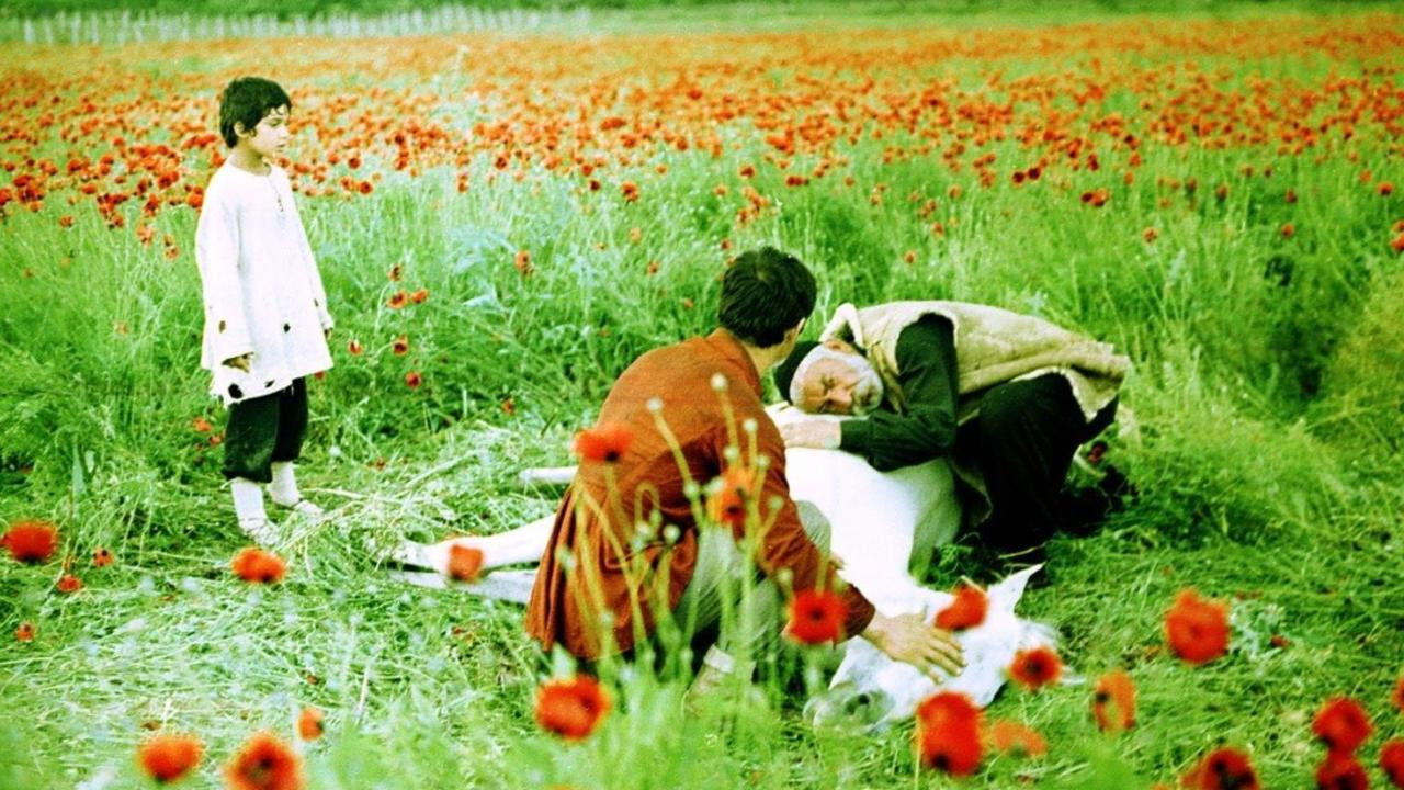 The Wishing Tree Background