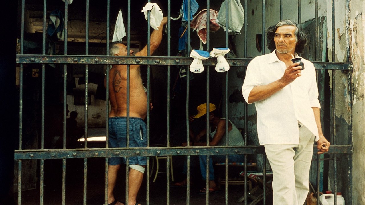 Los Muertos Background