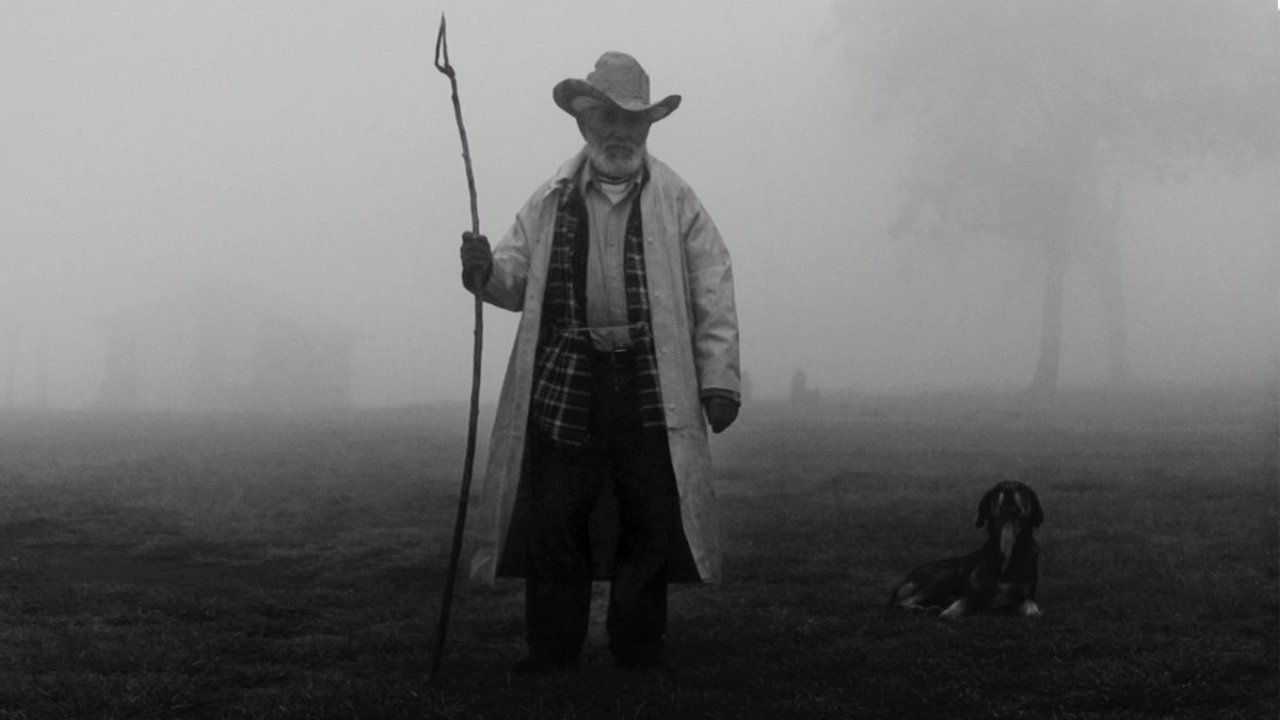 Dioses de México Background