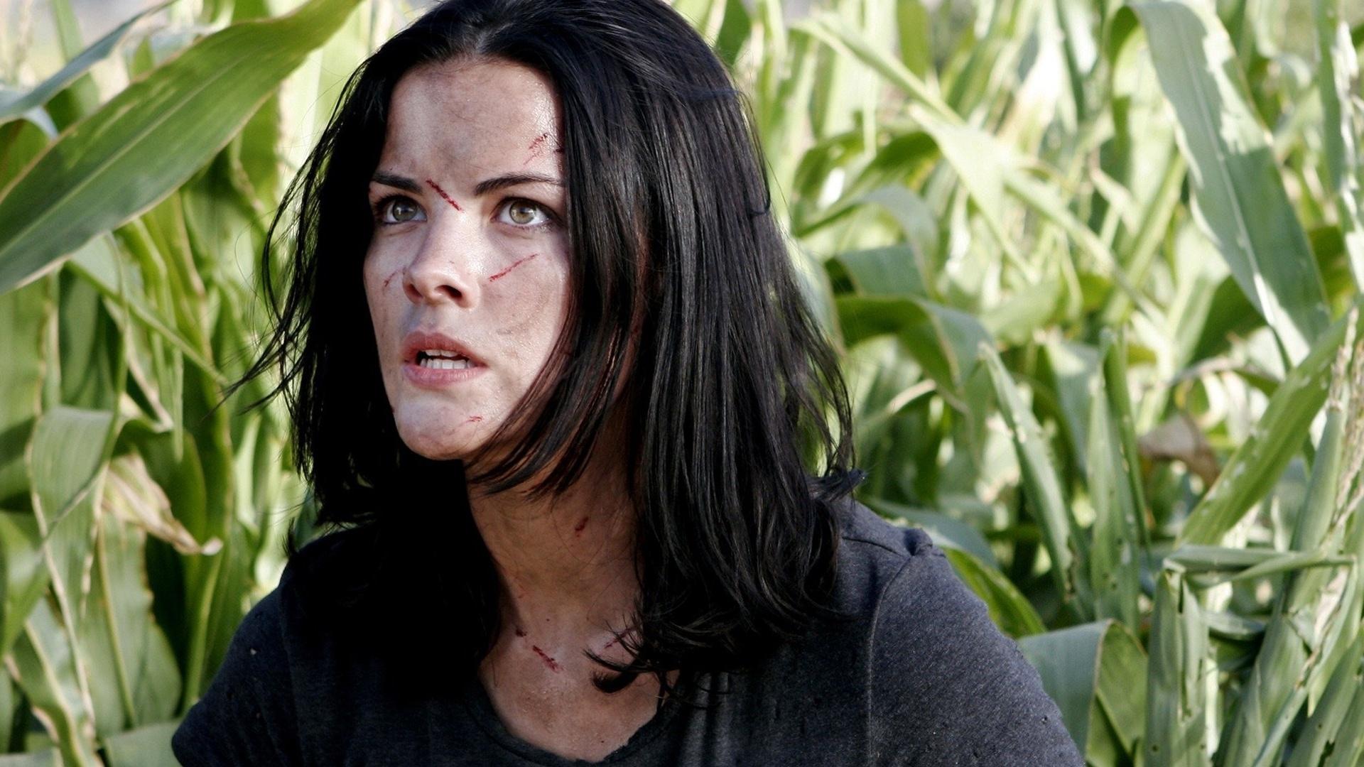 Hallowed Ground Background