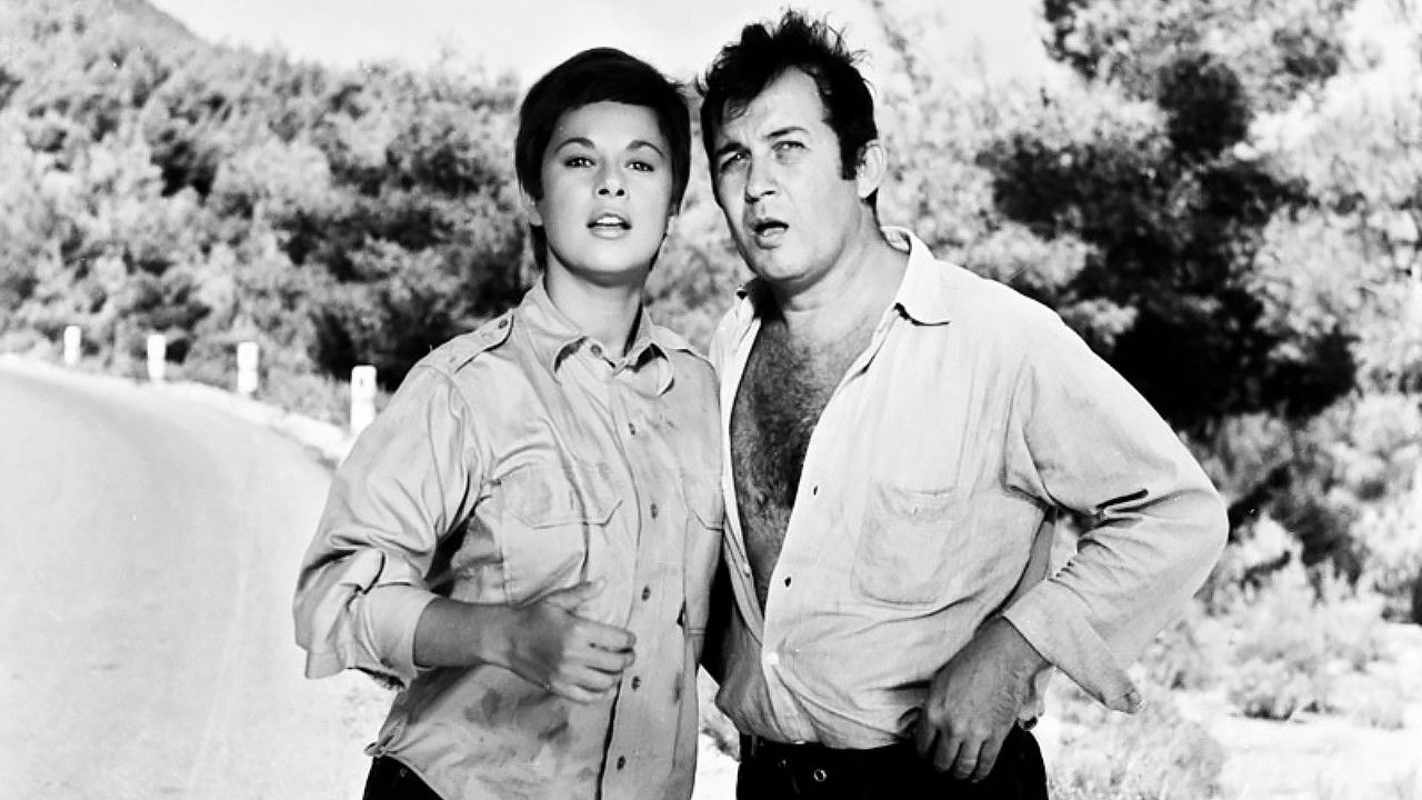 The Lady and the Tramp Background