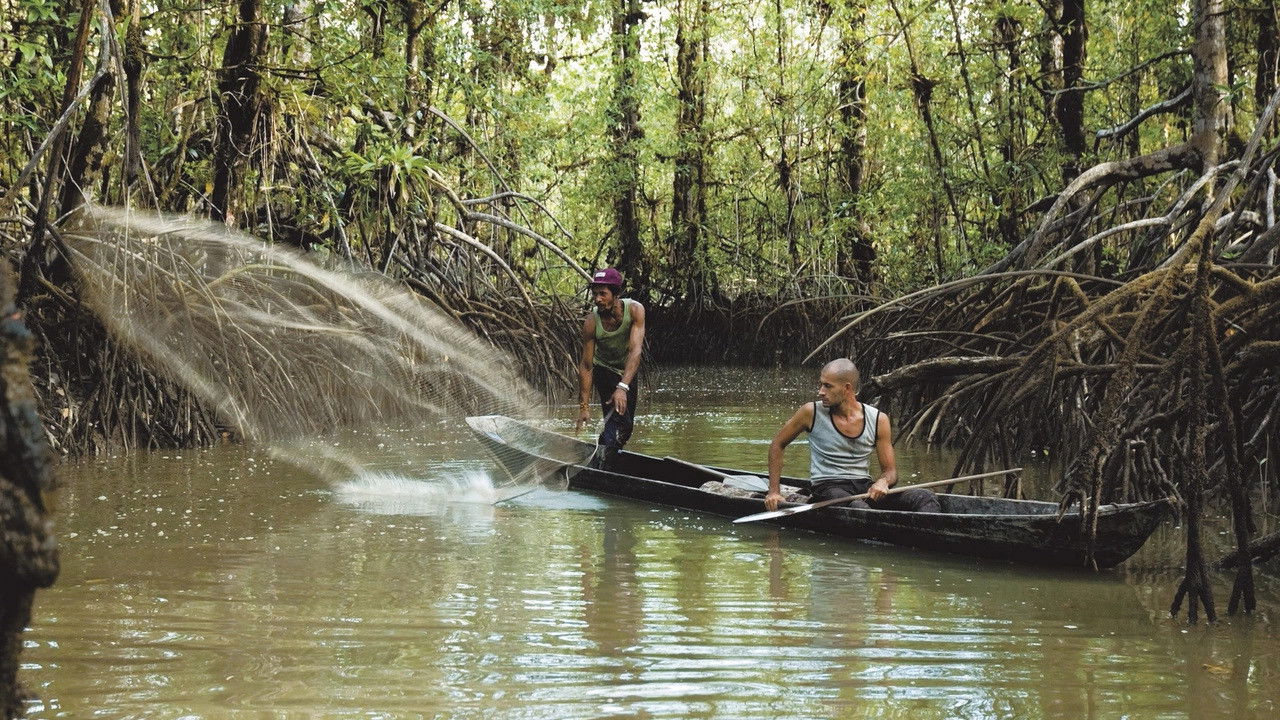 El vuelco del cangrejo Background