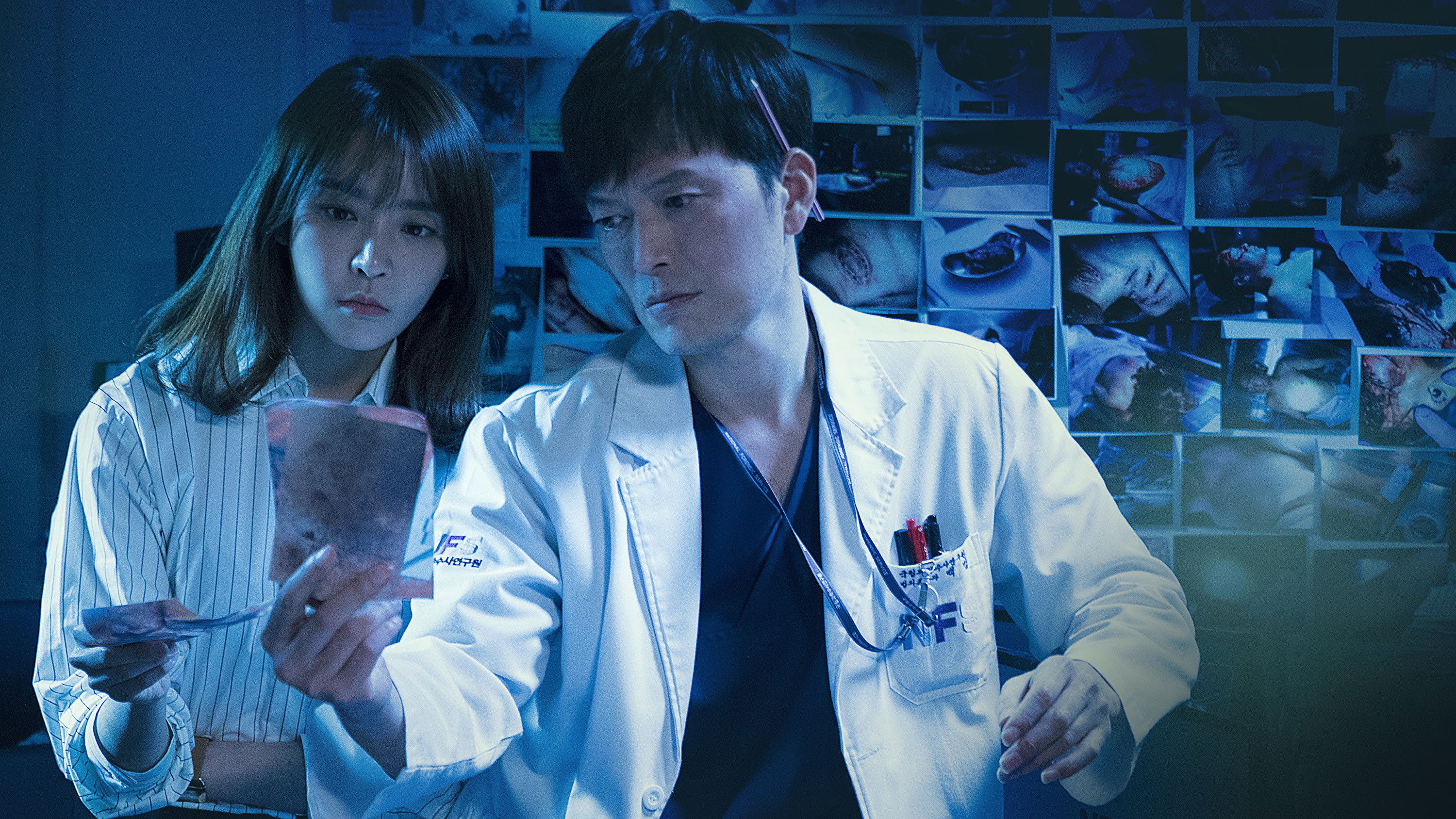 Partners for Justice Background