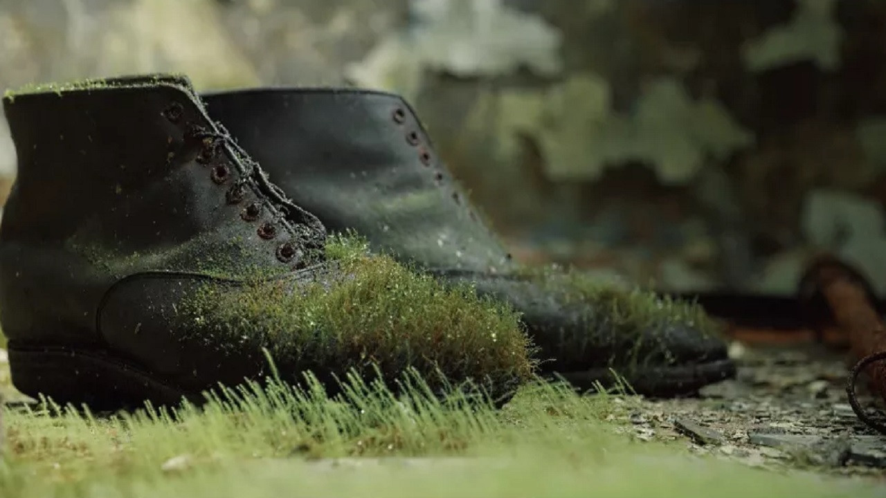 The Land of the People. Kuril Islands Background