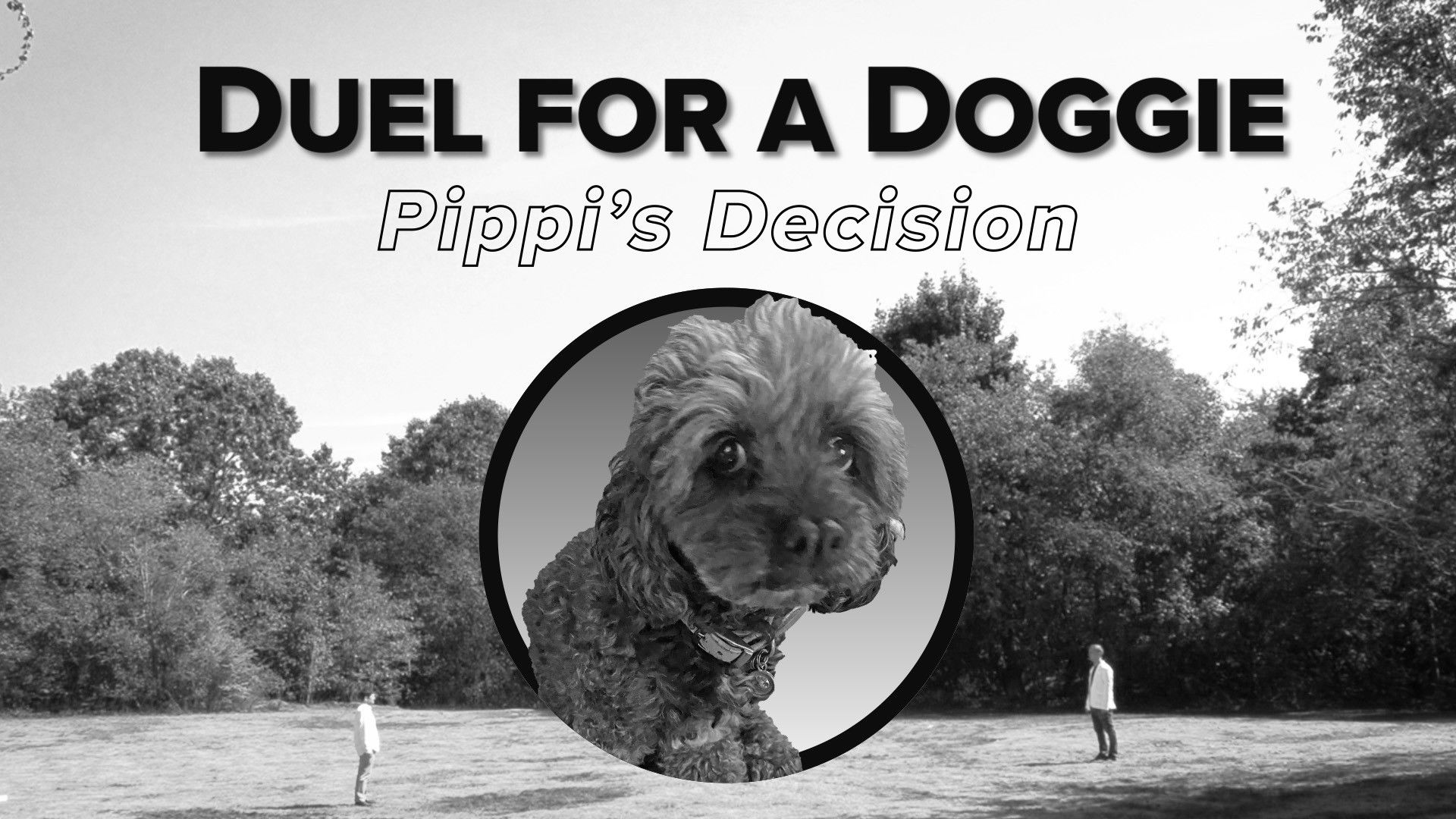 Boston Johnny Background