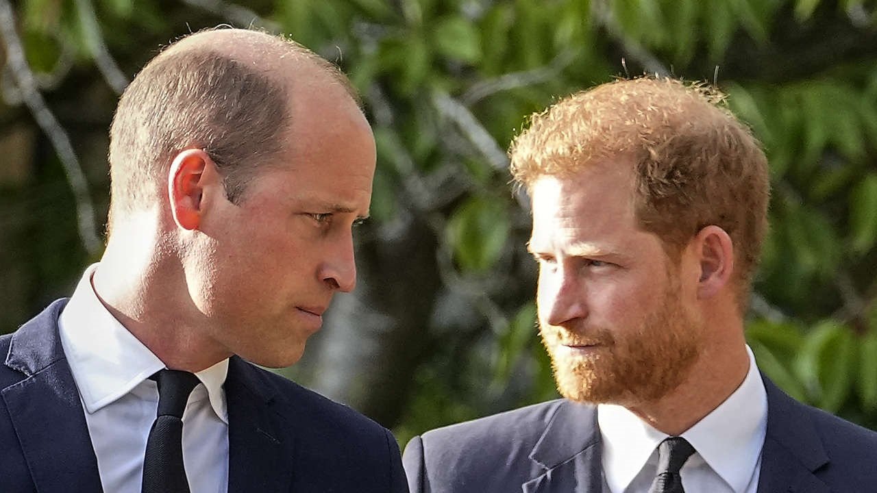 Harry vs. William: Der royale Bruderzwist Background