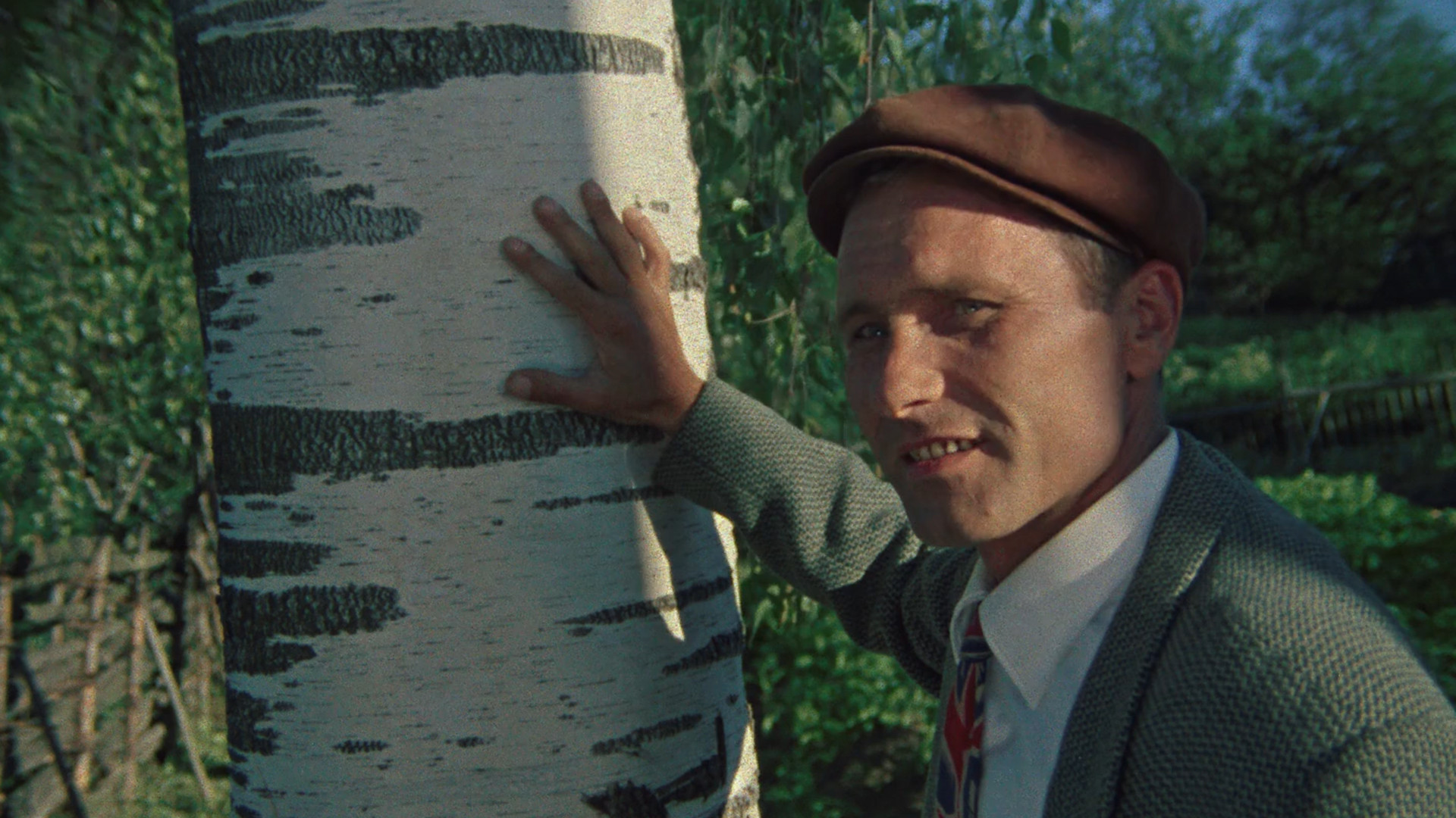 The Red Snowball Tree Background