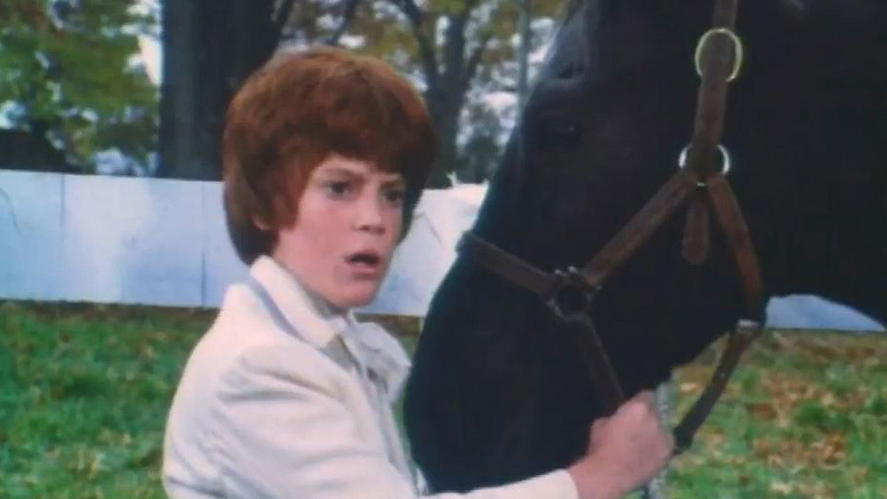 Black Beauty Background