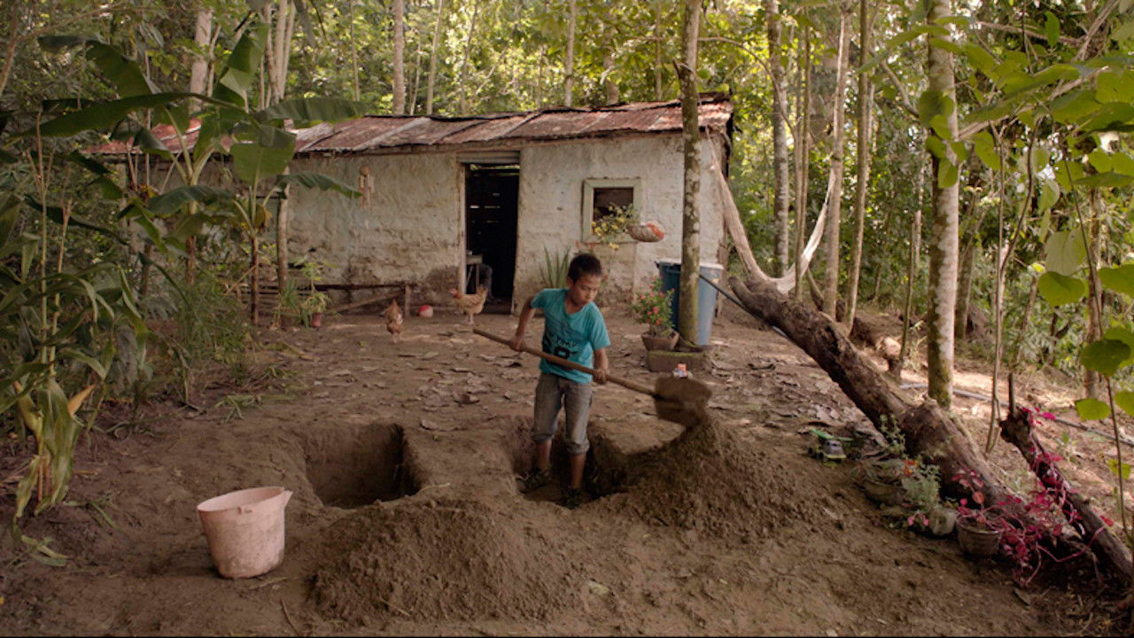 Tierra mojada Background