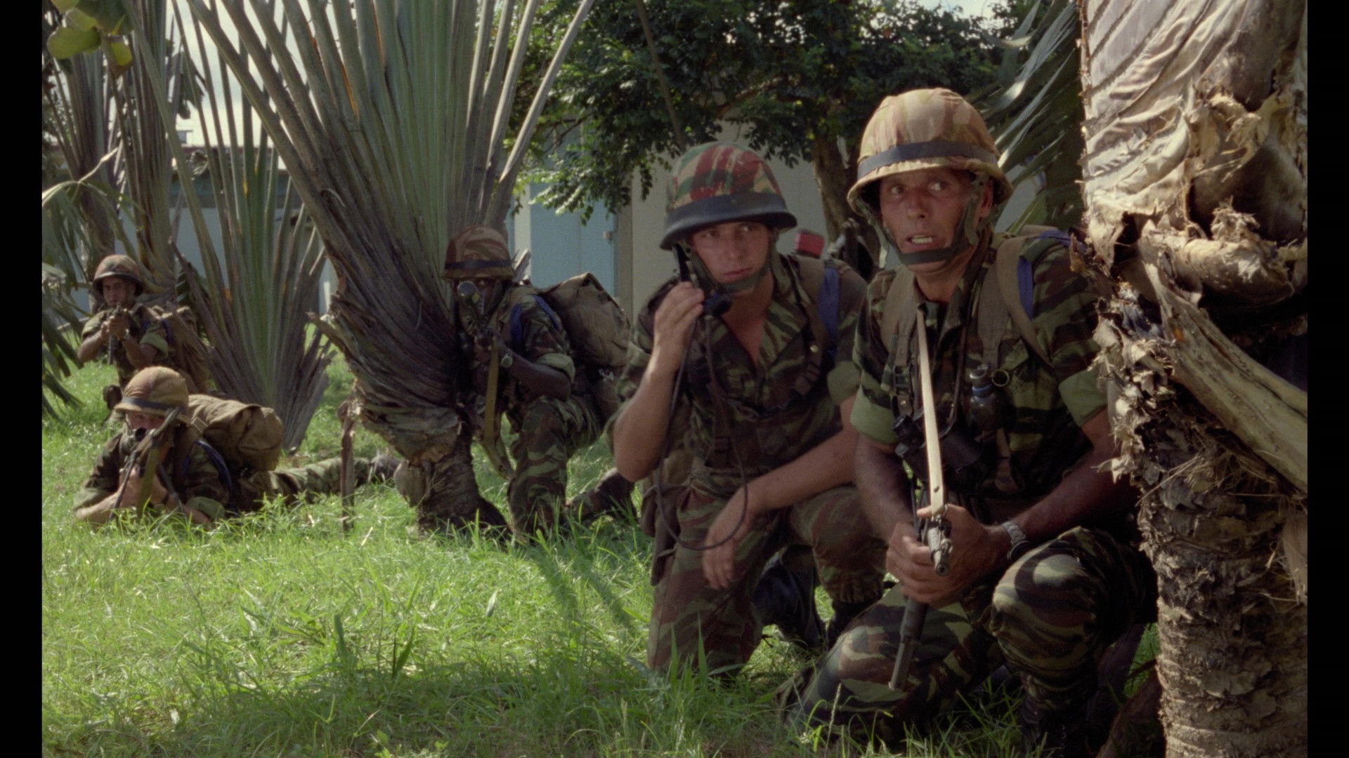 Operation Leopard Background