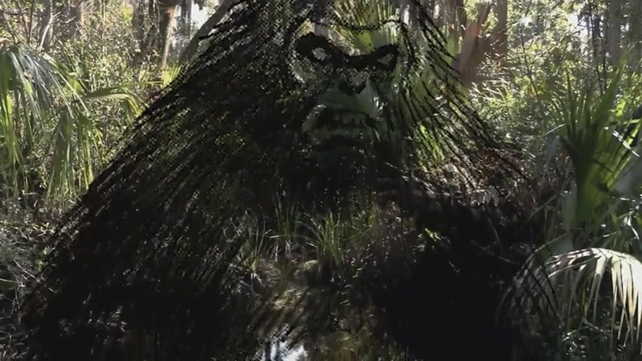 The Skunk Ape Lives Background
