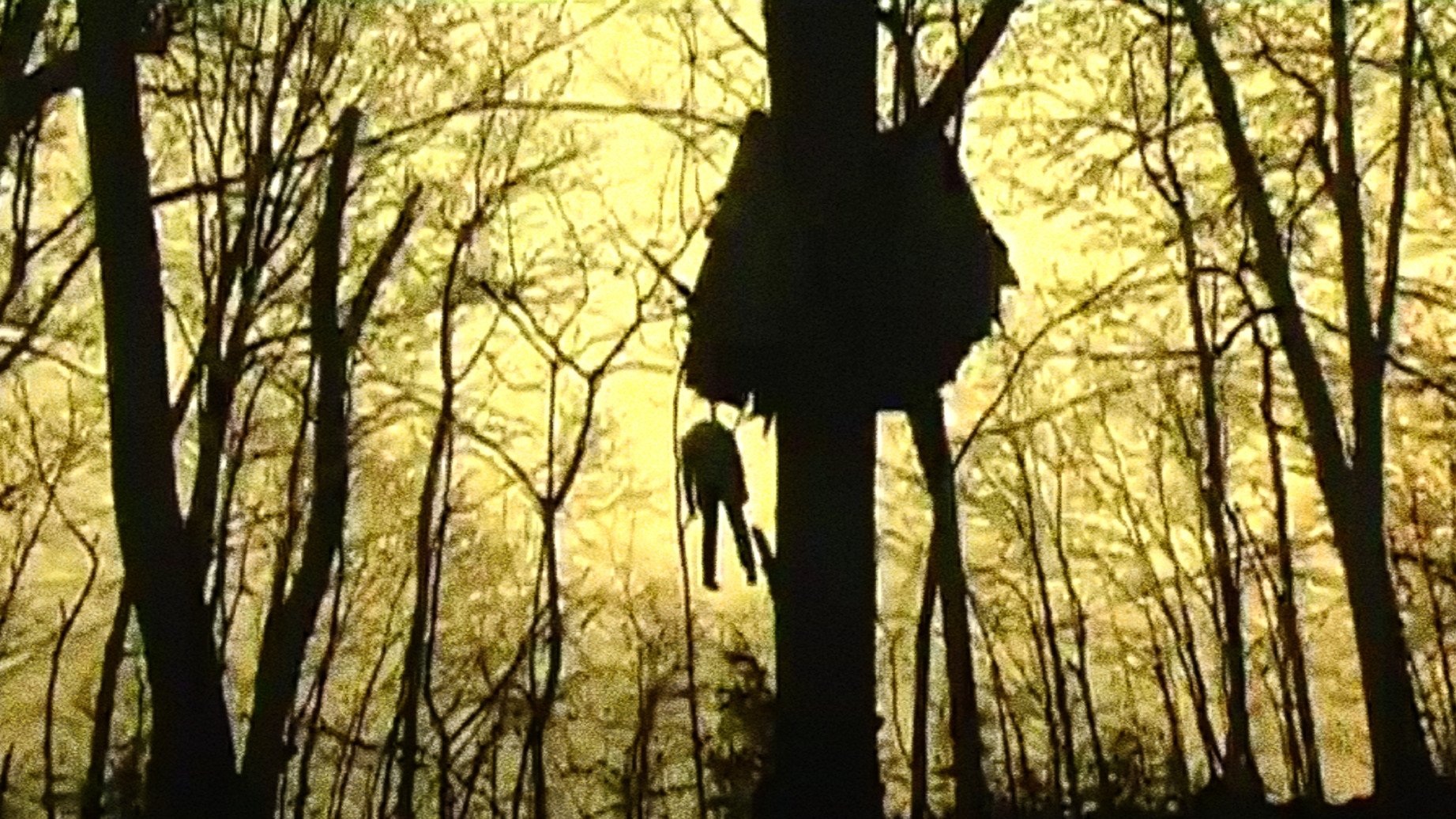 Head Trauma Background