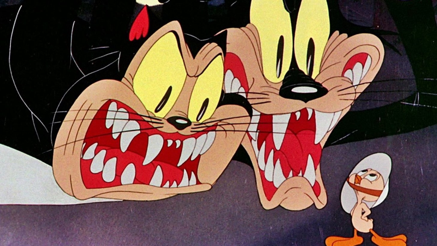 A Tale of Two Kitties Background