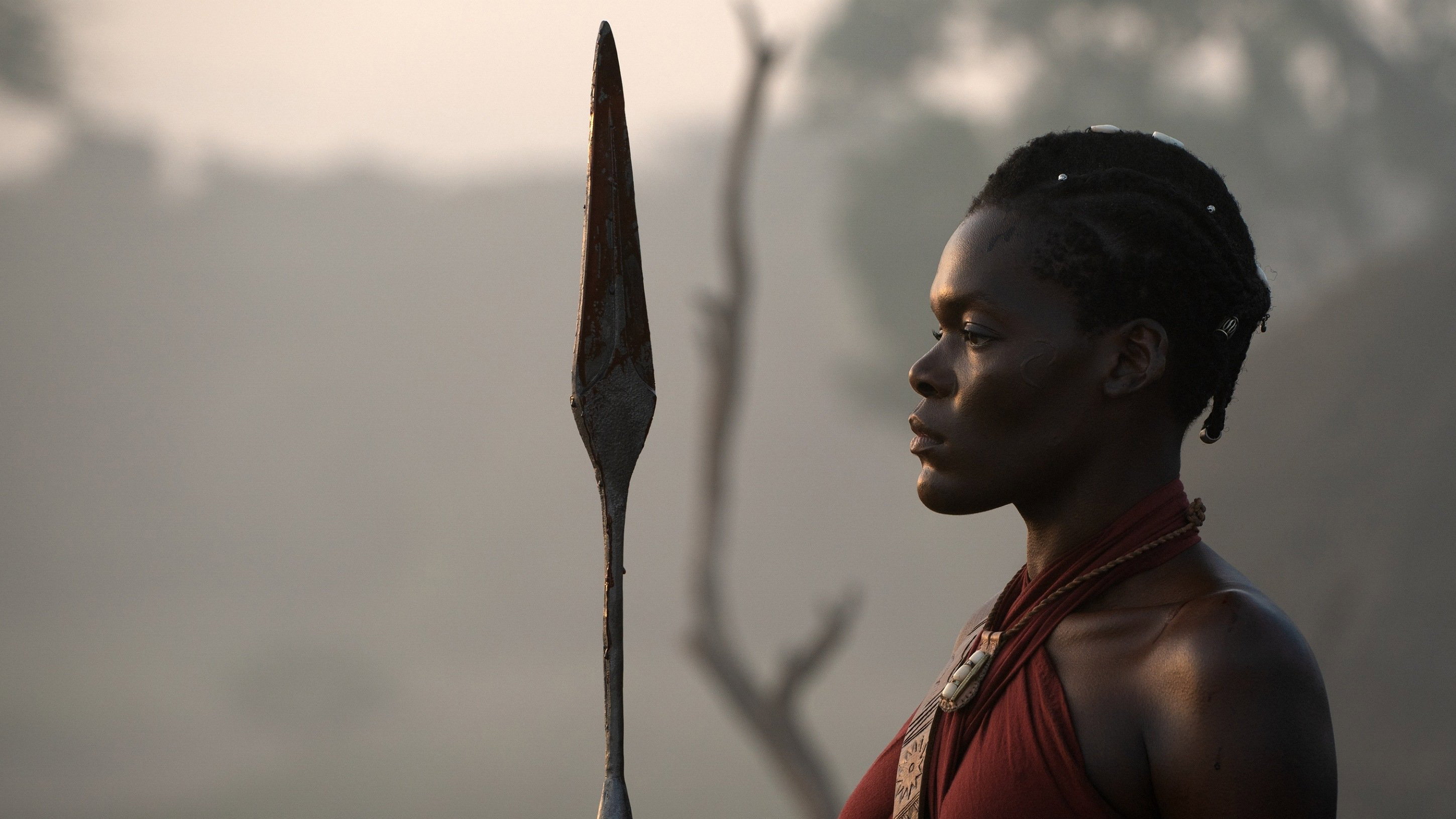 The Woman King Background
