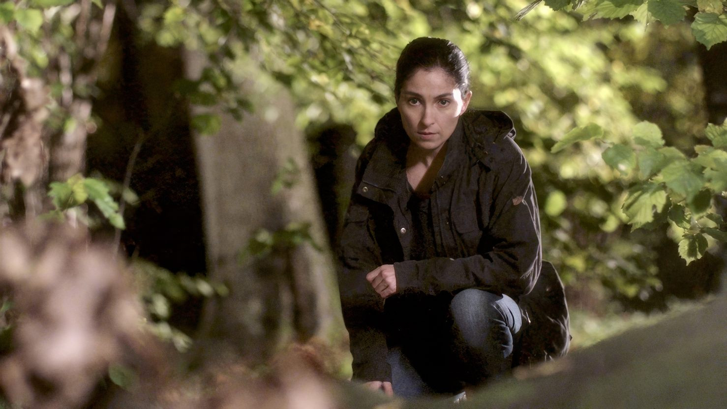 Johan Falk: Alla råns moder Background