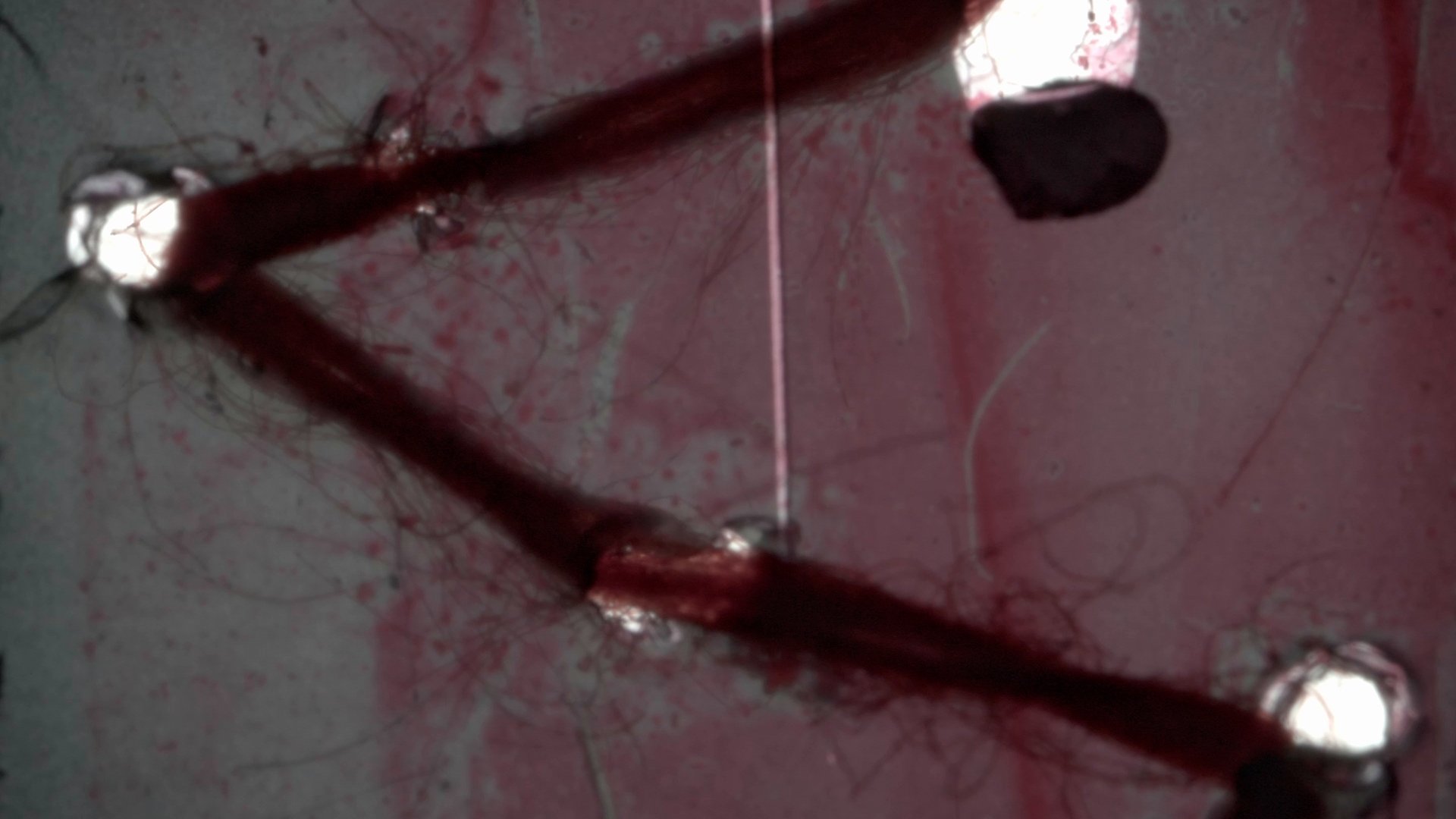 Flesh in Turmoil Background