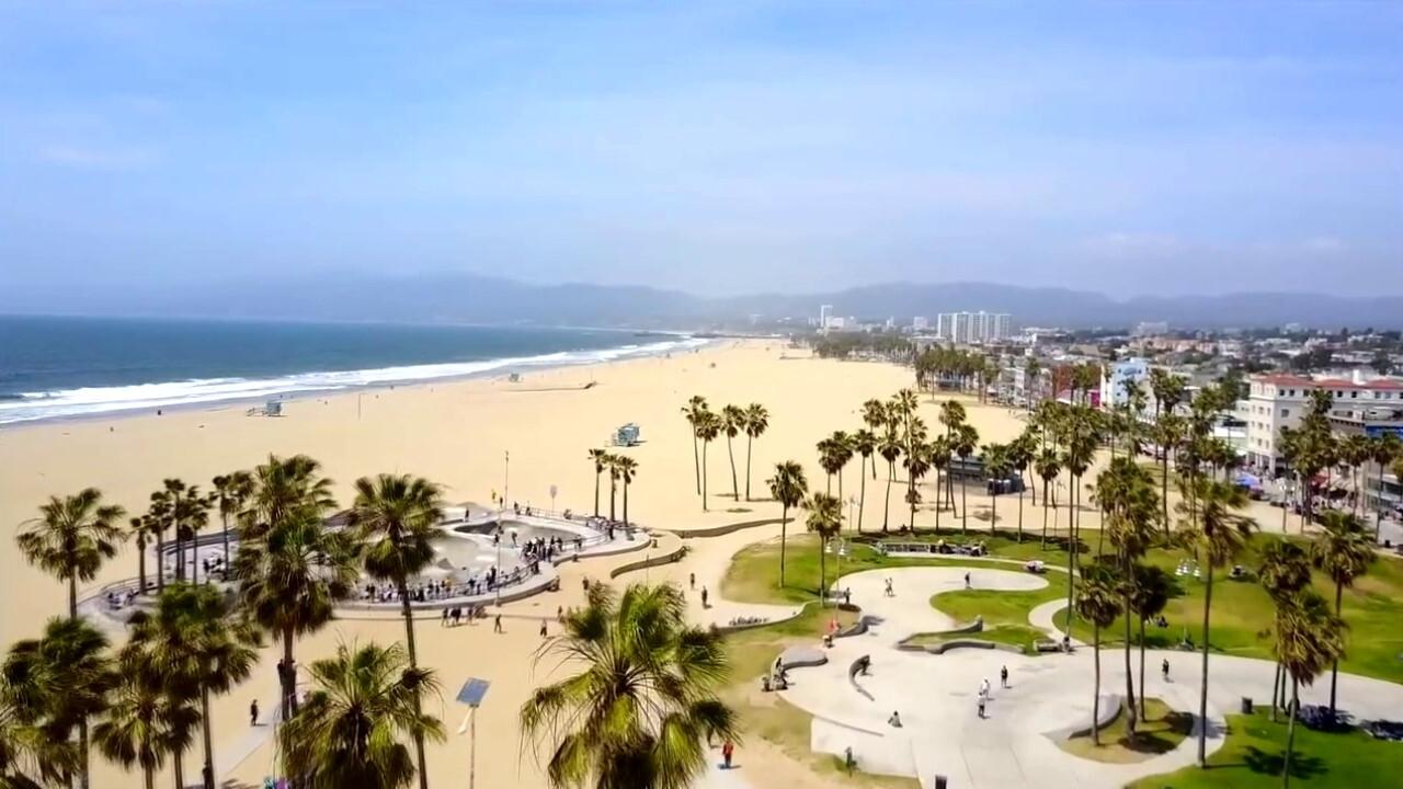 Beach Babe Bingo Background