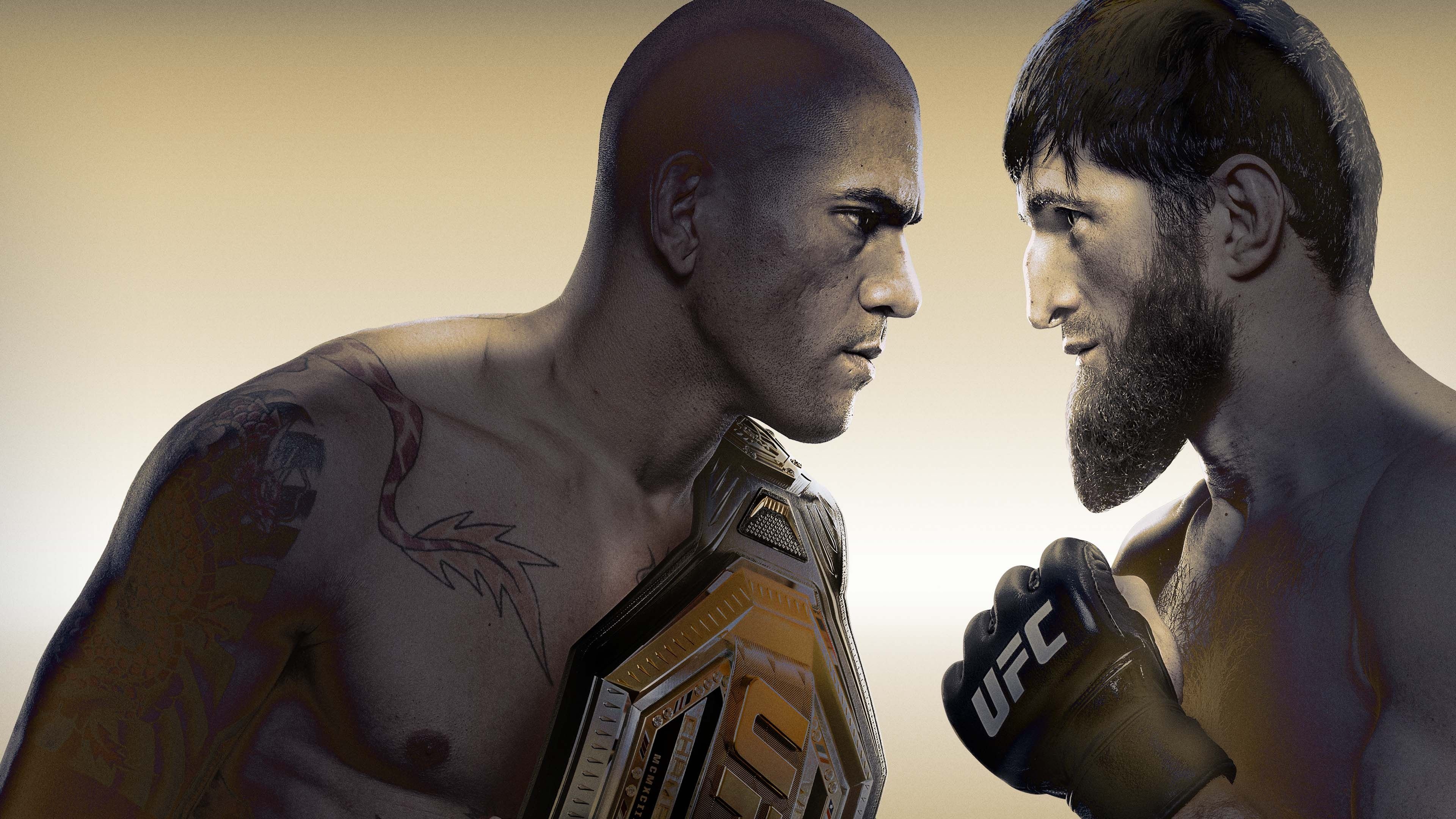 UFC 313: Pereira vs. Ankalaev Background