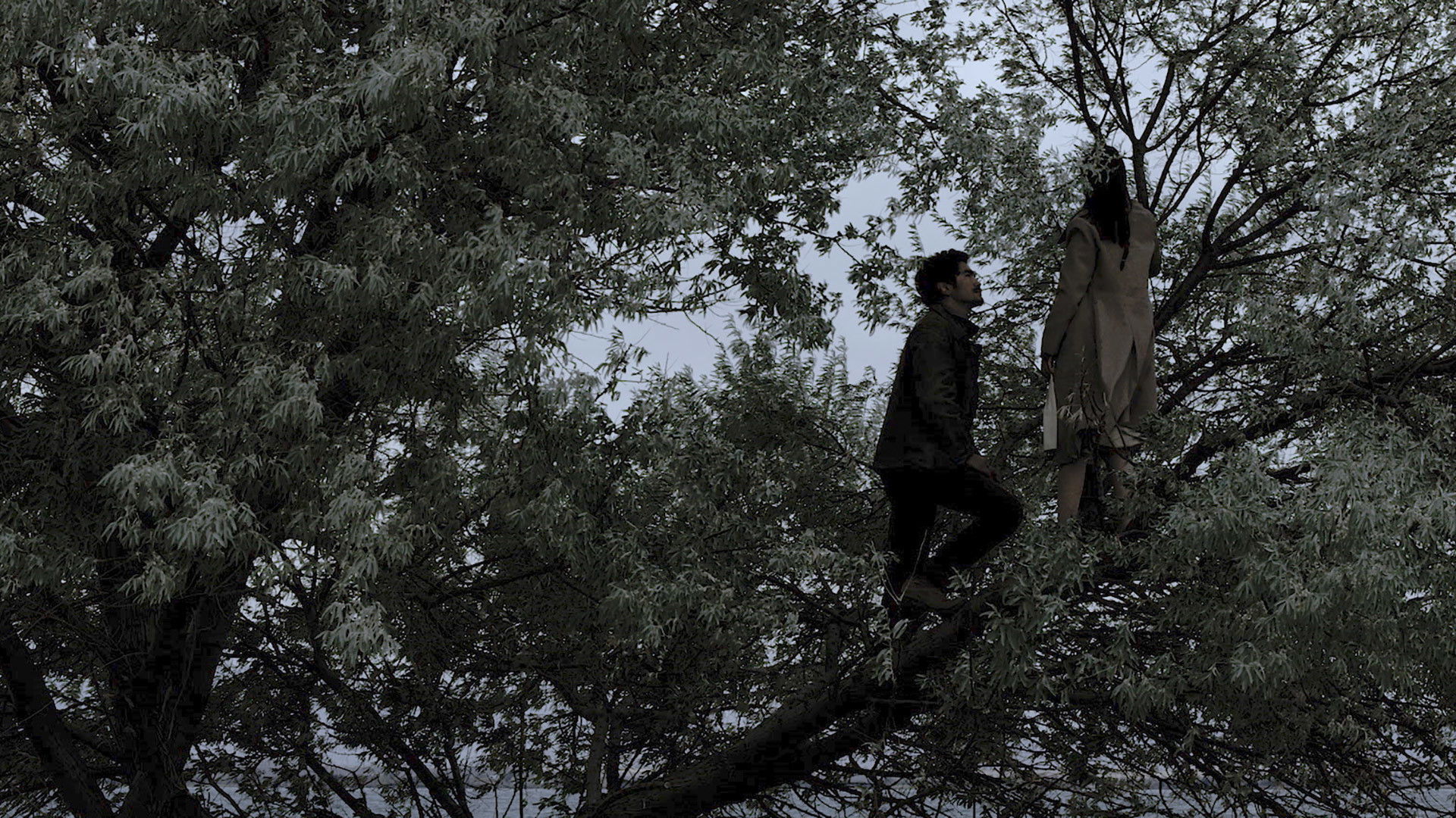 1000 Dreams Background