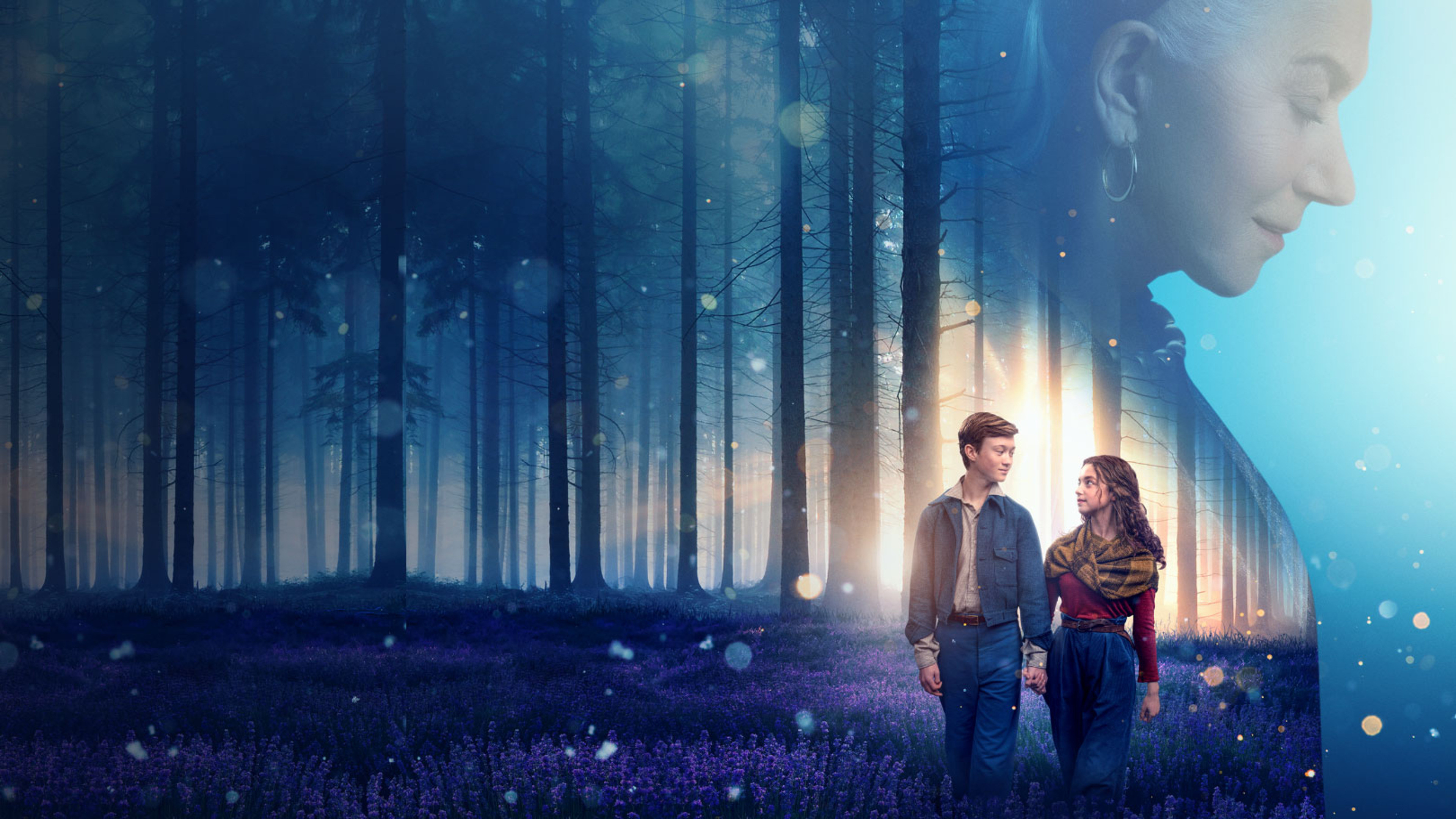 White Bird Background