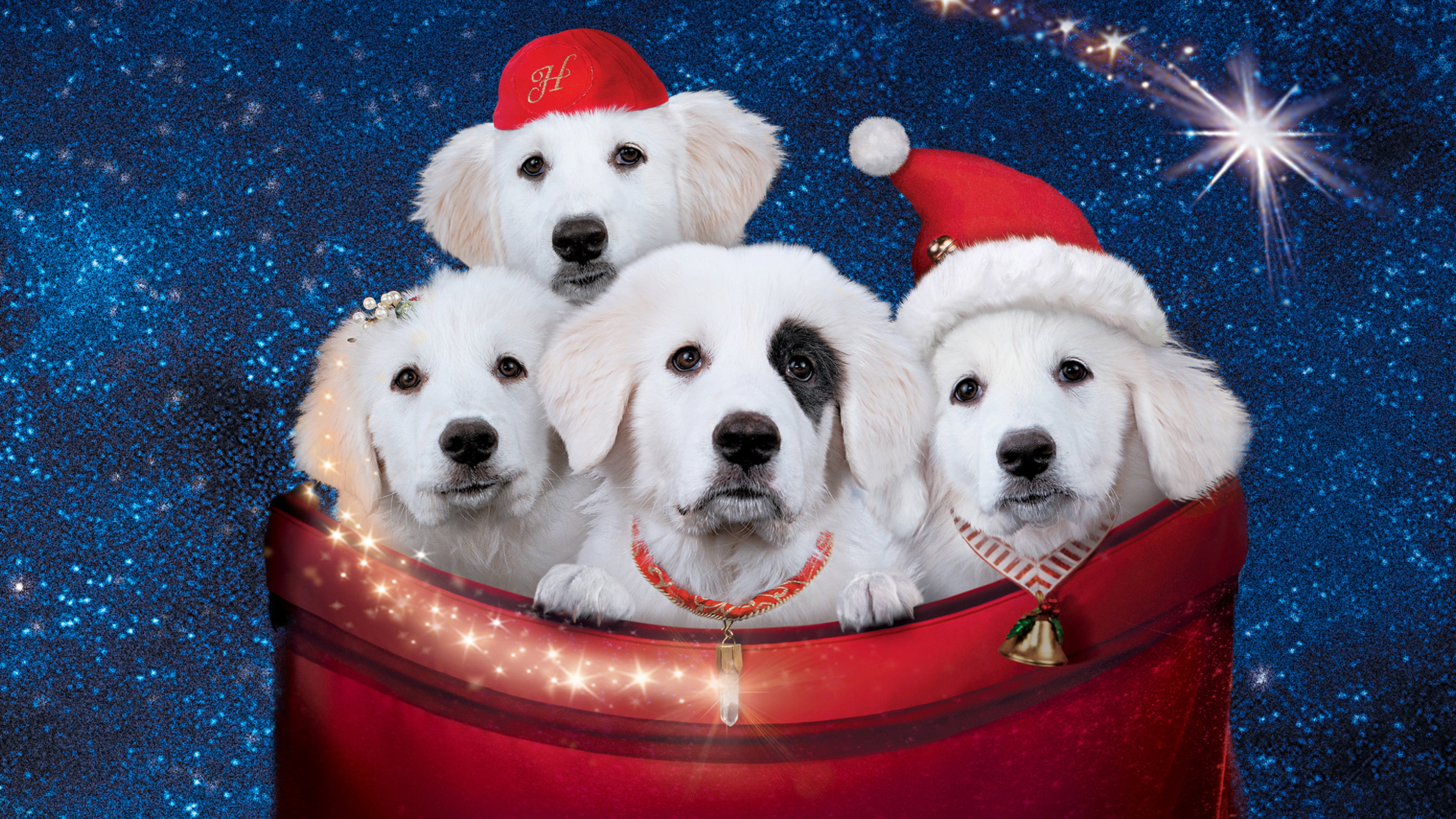 Santa Paws 2: The Santa Pups Background